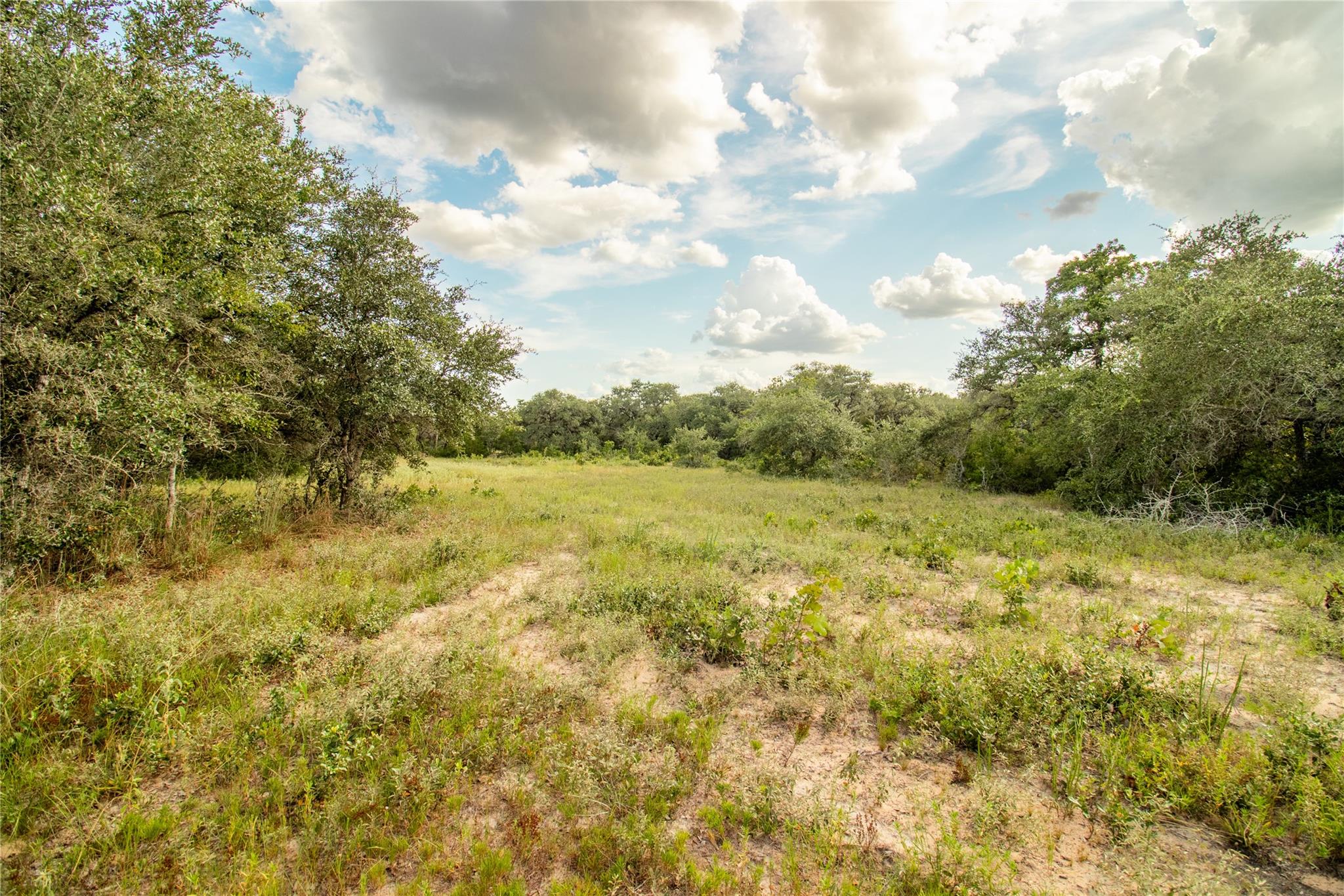 000 County Road 15, Hallettsville, TX 77964