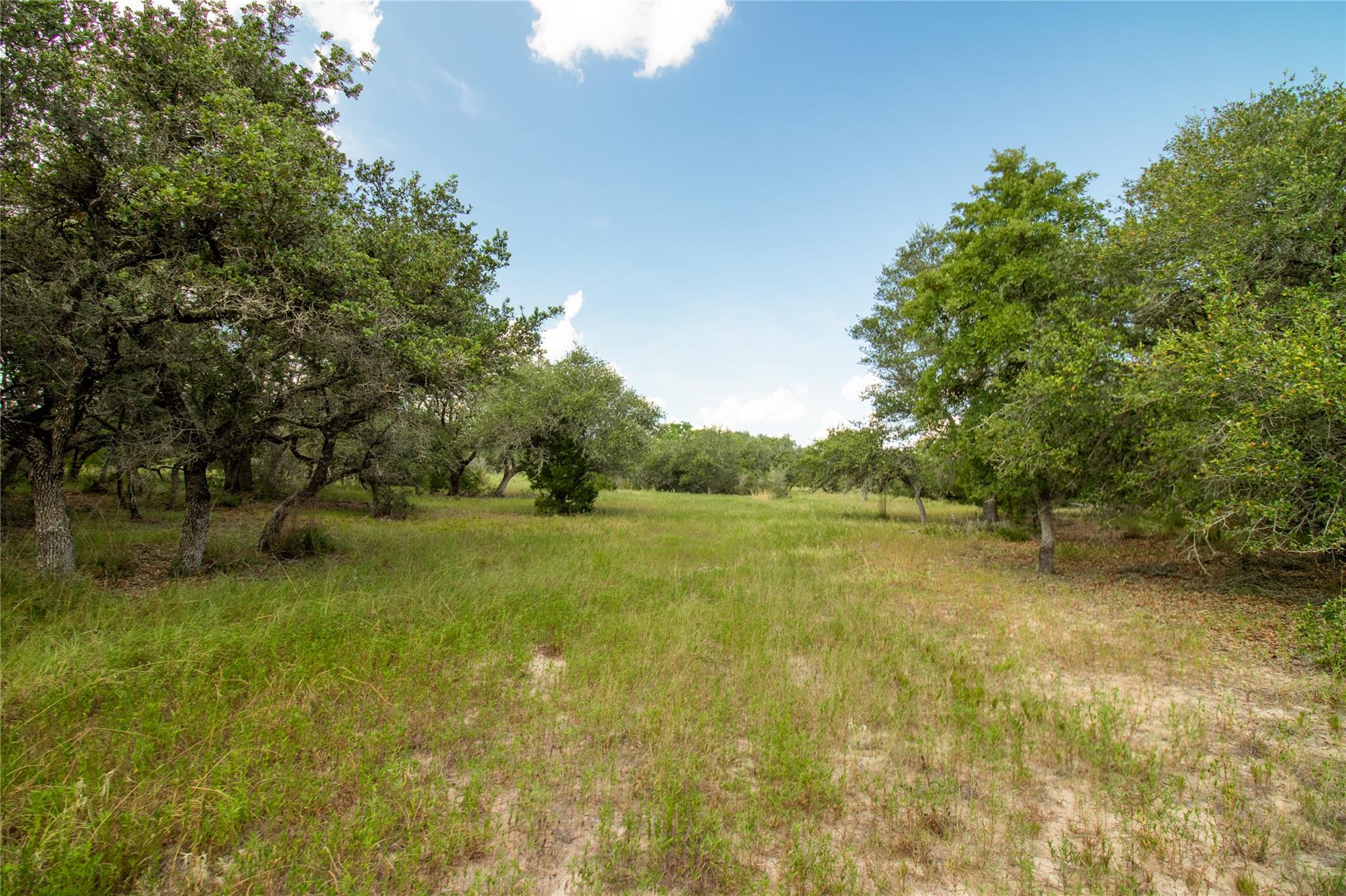 000 County Road 15, Hallettsville, TX 77964