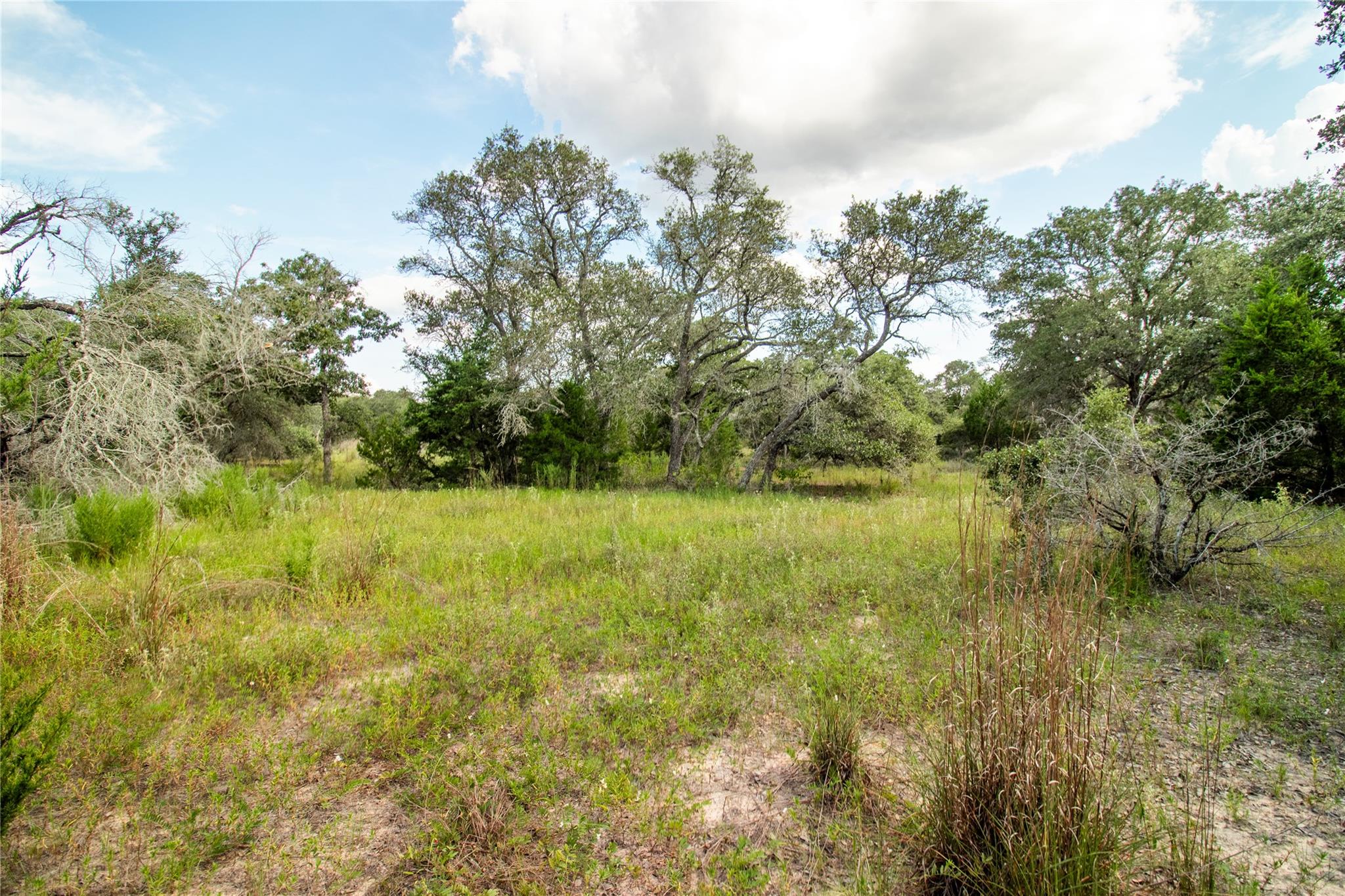 000 County Road 15, Hallettsville, TX 77964