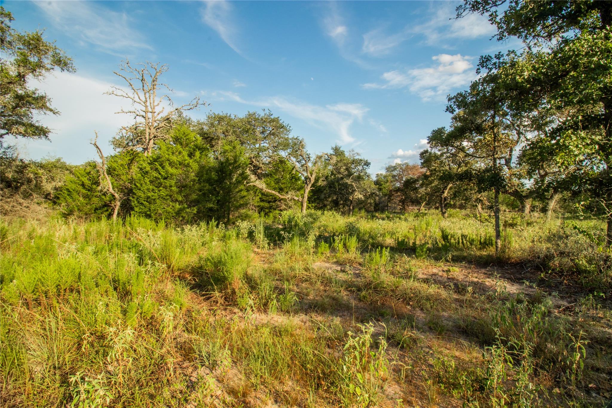 000 County Road 15, Hallettsville, TX 77964