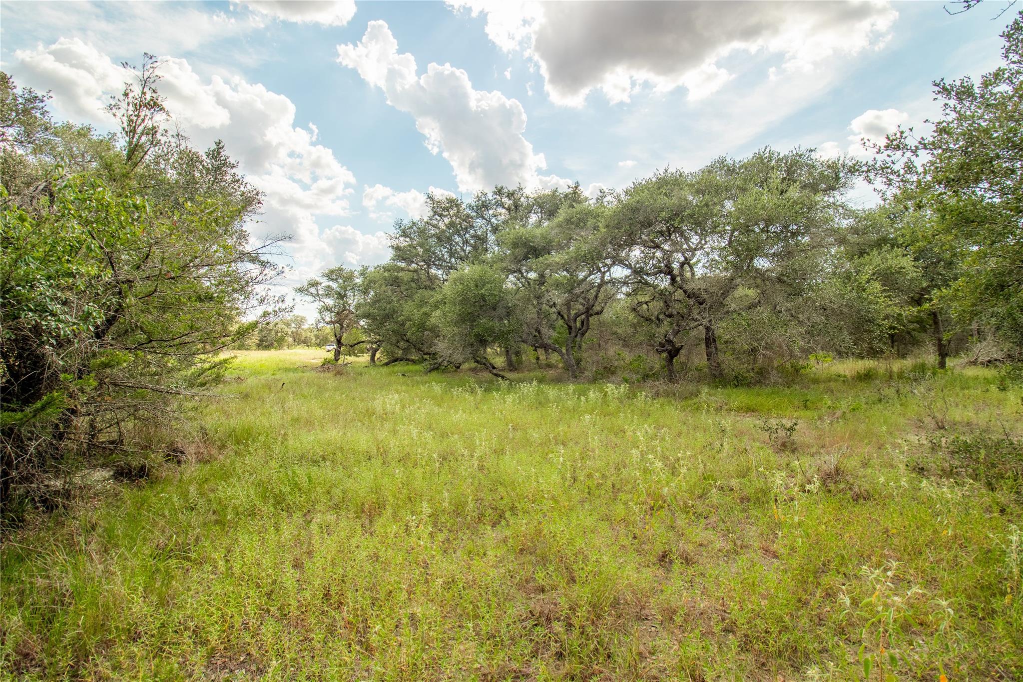 000 County Road 15, Hallettsville, TX 77964
