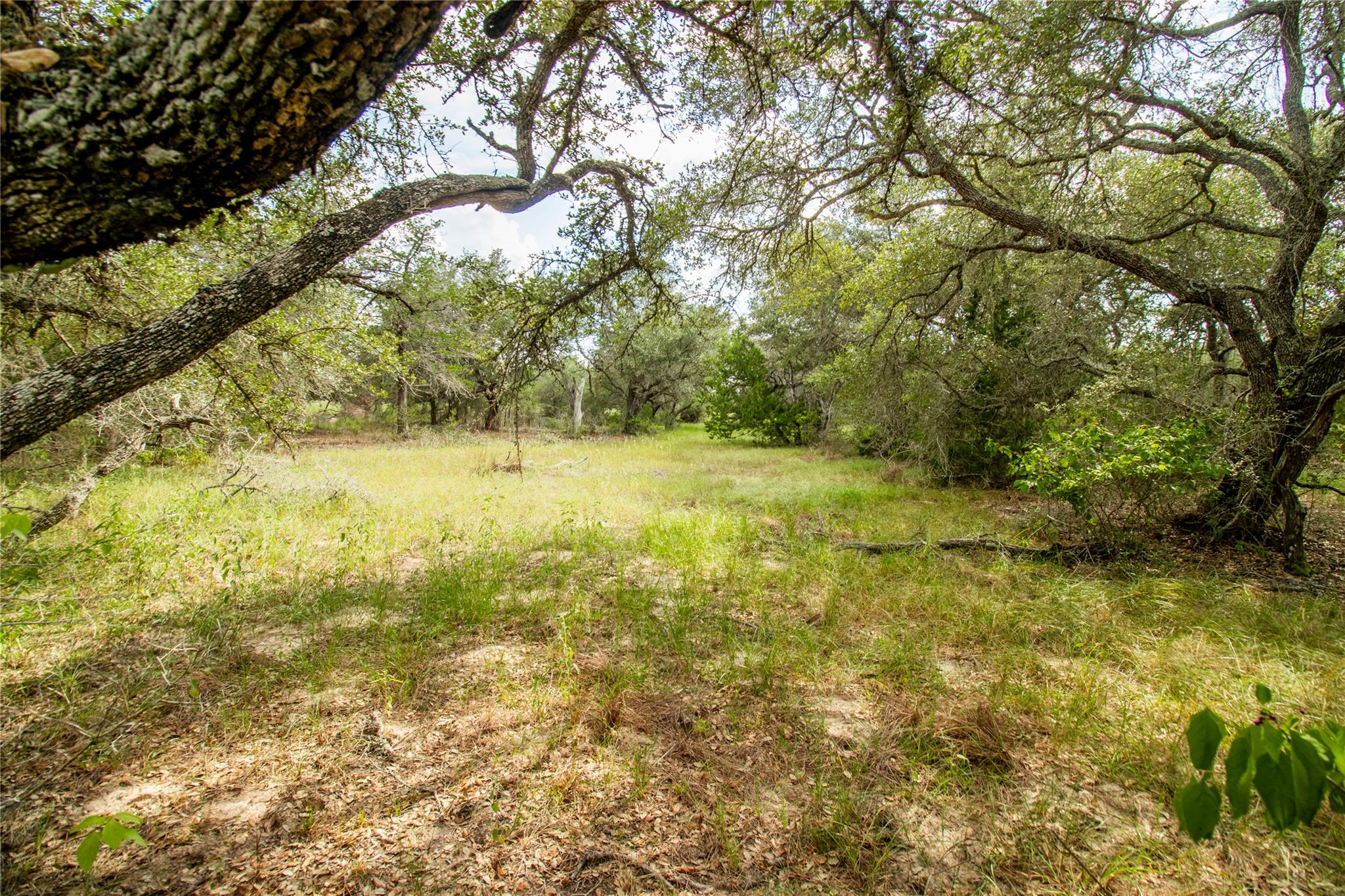 000 County Road 15, Hallettsville, TX 77964