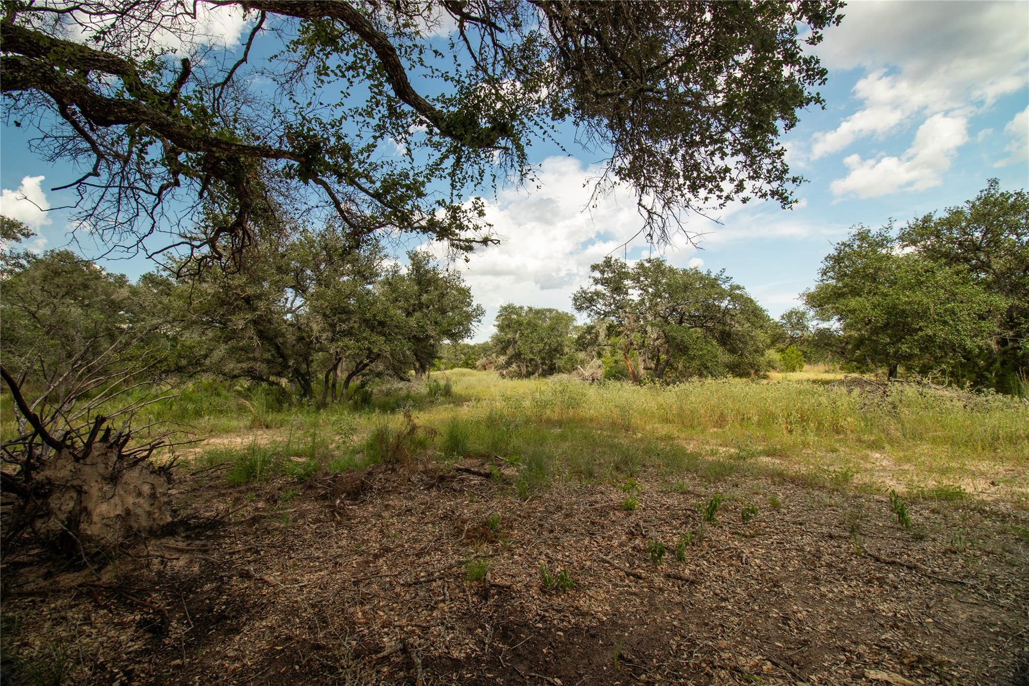 000 County Road 15, Hallettsville, TX 77964