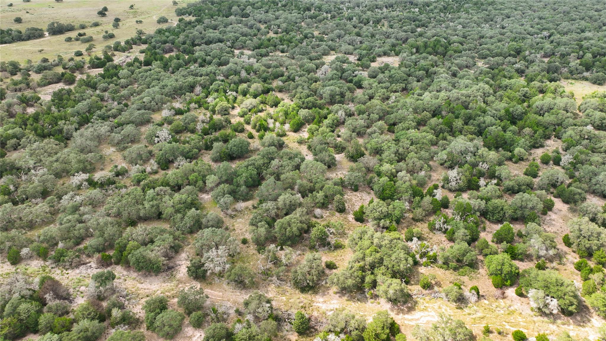 000 County Road 15, Hallettsville, TX 77964