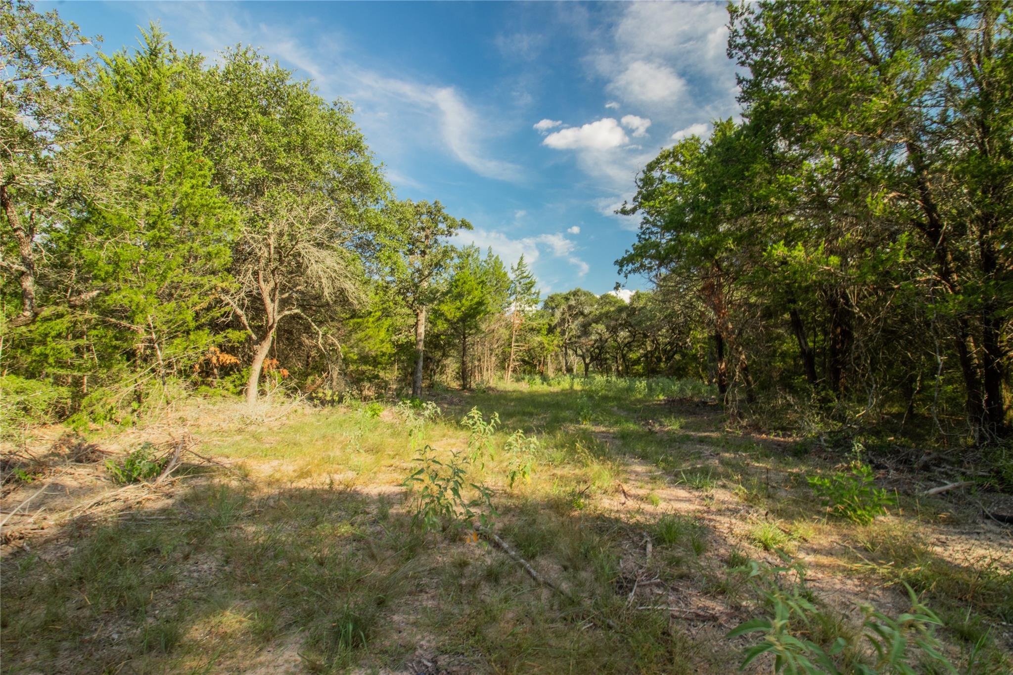 000 County Road 15, Hallettsville, TX 77964