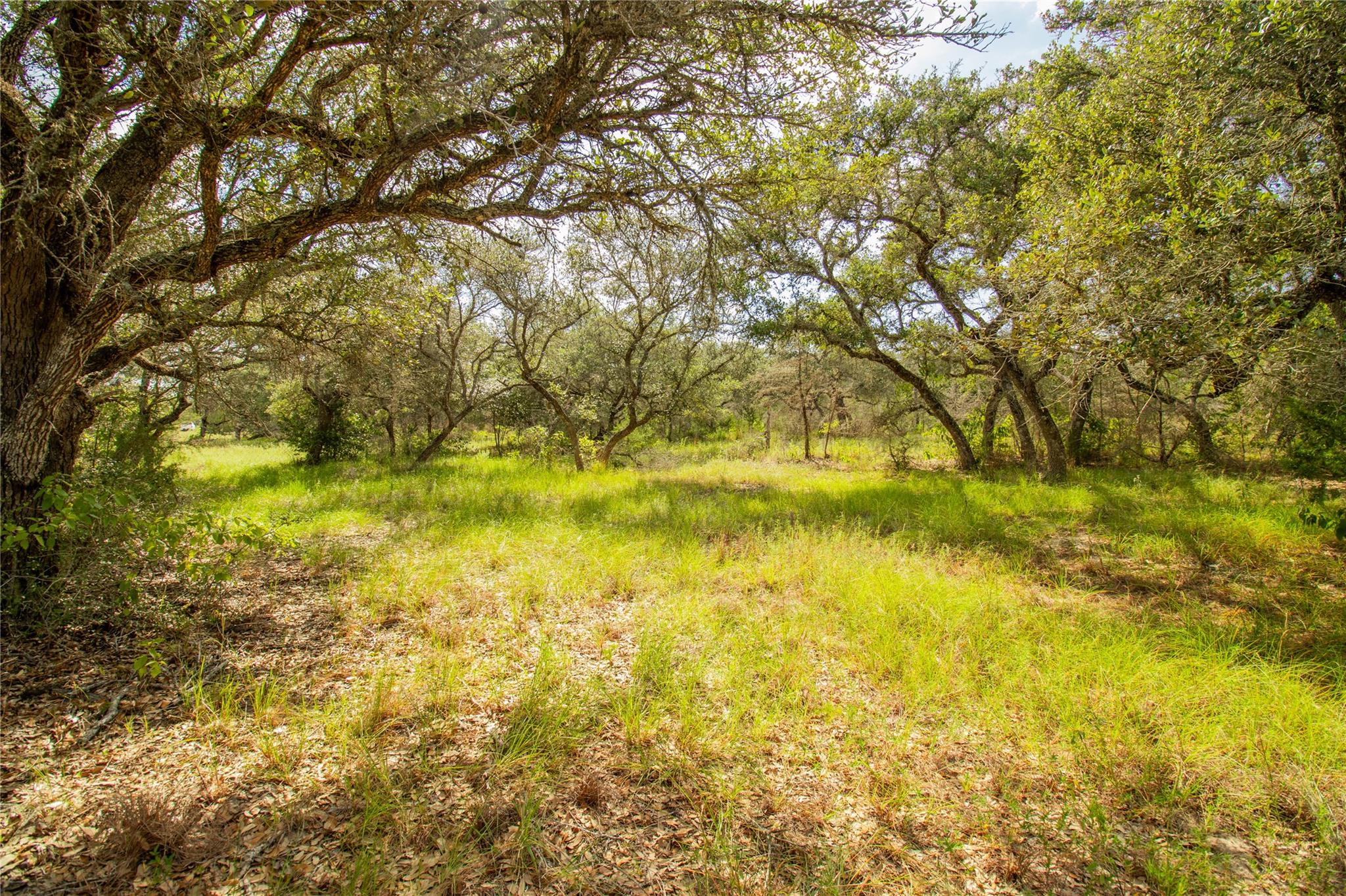 000 County Road 15, Hallettsville, TX 77964
