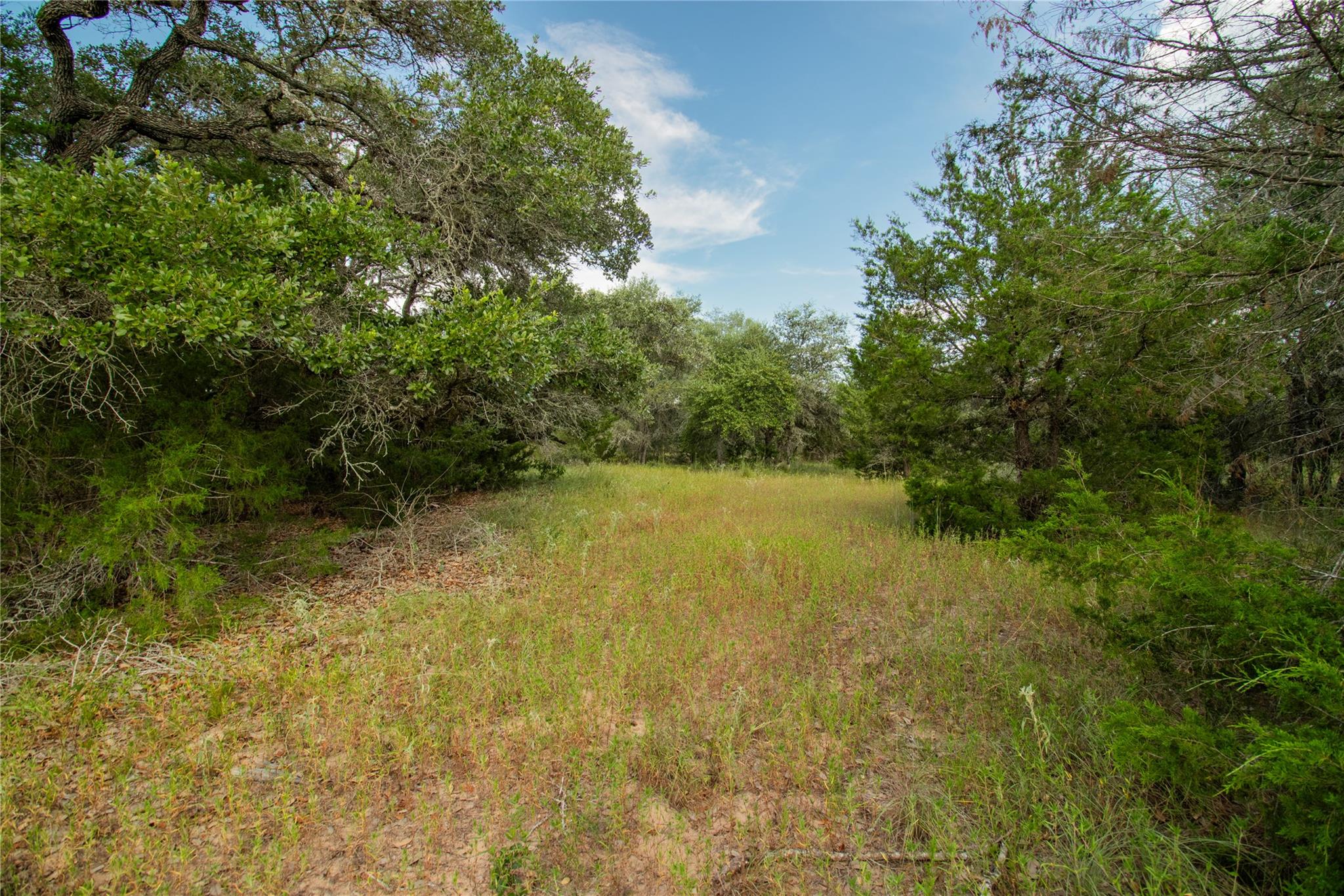 000 County Road 15, Hallettsville, TX 77964