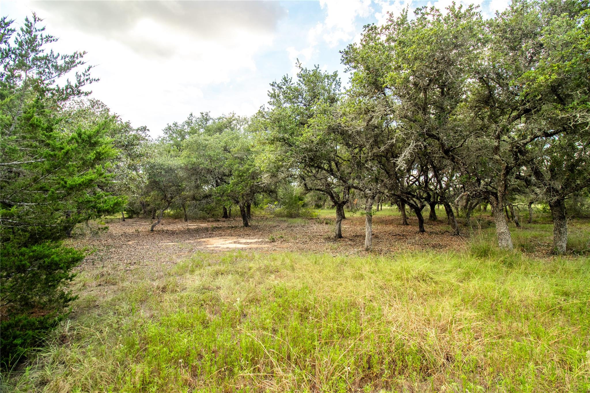 000 County Road 15, Hallettsville, TX 77964
