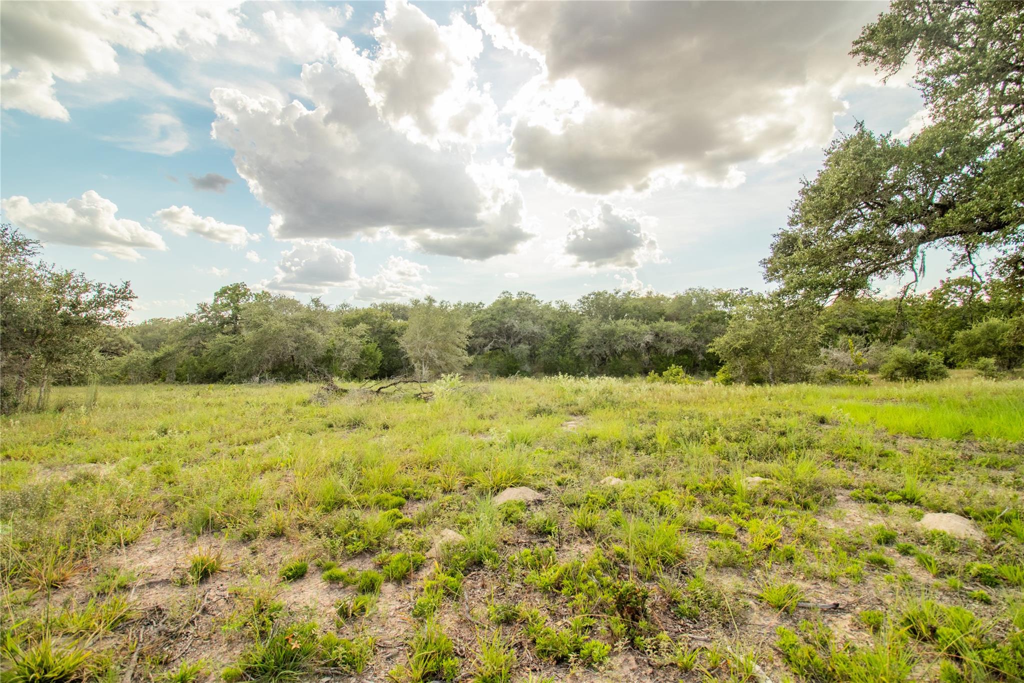 000 County Road 15, Hallettsville, TX 77964