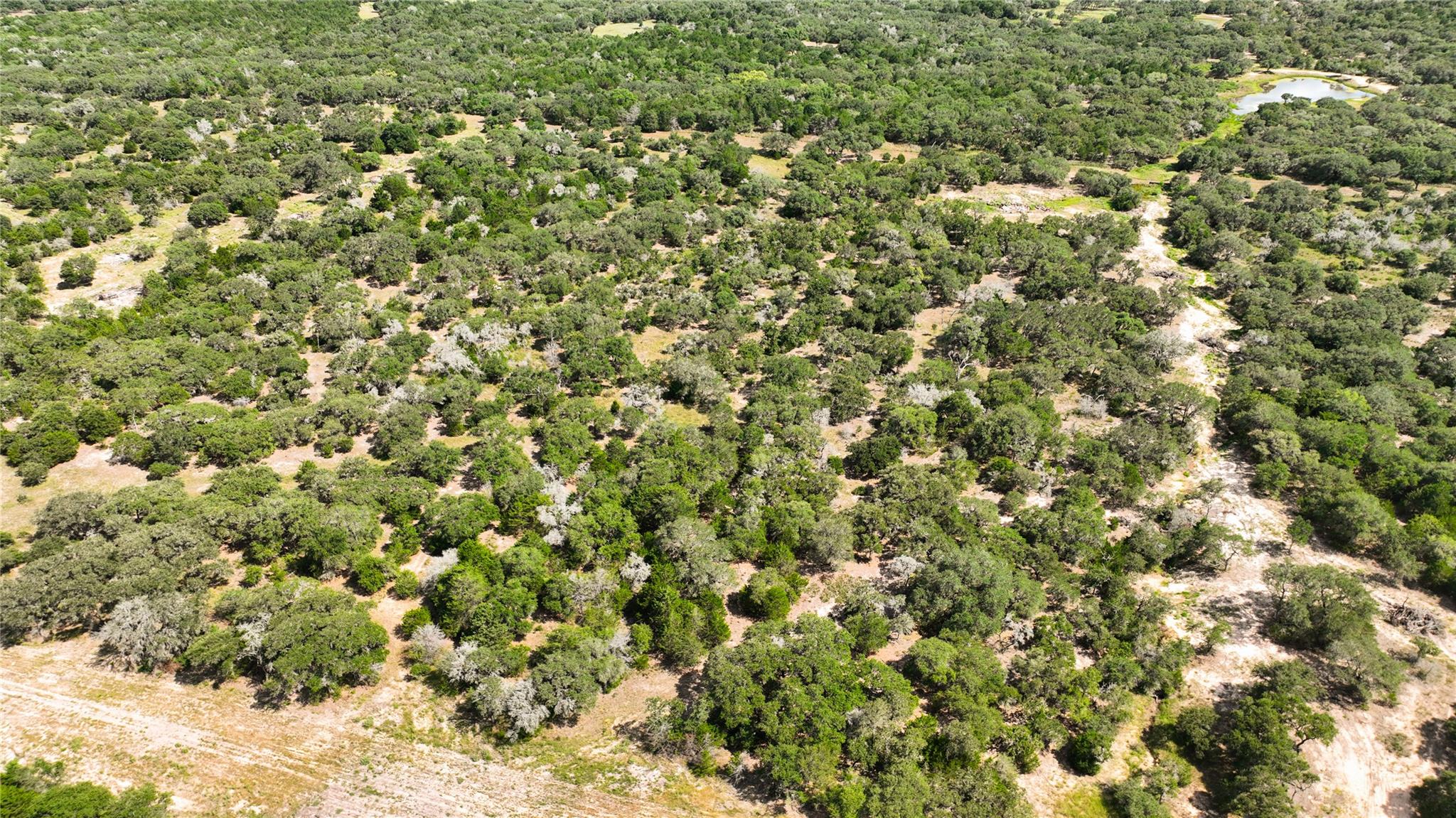 000 County Road 15, Hallettsville, TX 77964