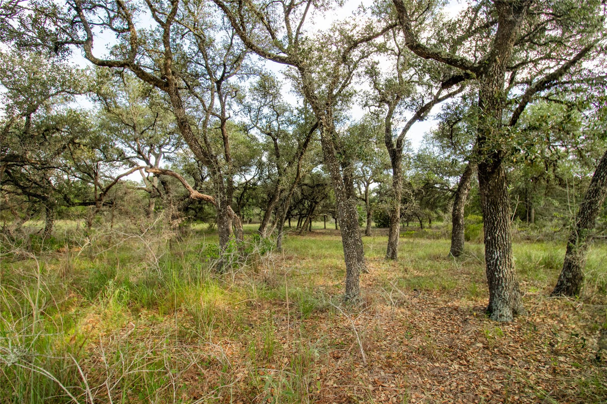 000 County Road 15, Hallettsville, TX 77964