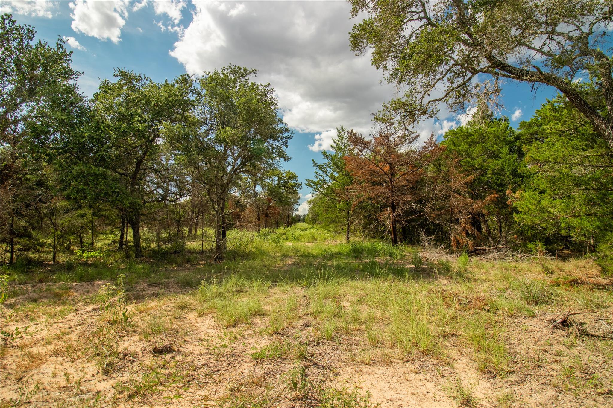 000 County Road 15, Hallettsville, TX 77964