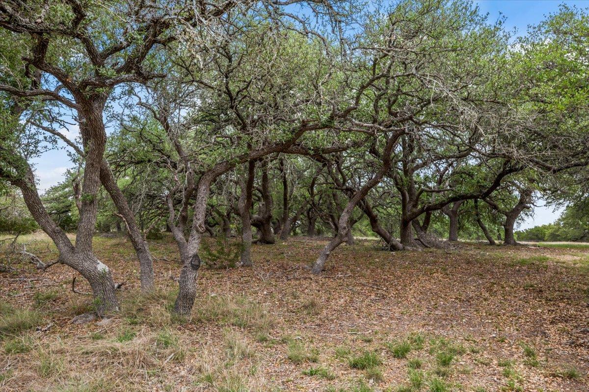 6594 W Hwy 290, Dripping Springs, TX 78620