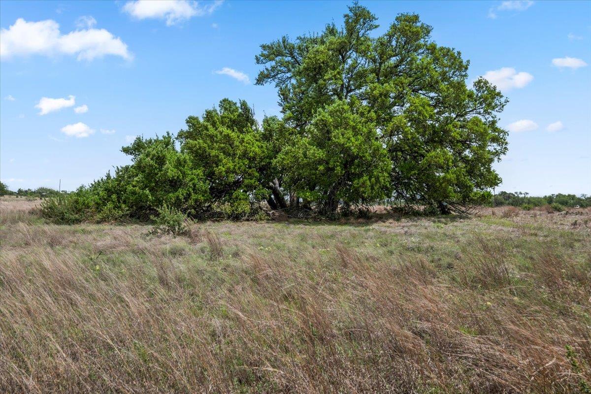6594 W Hwy 290, Dripping Springs, TX 78620