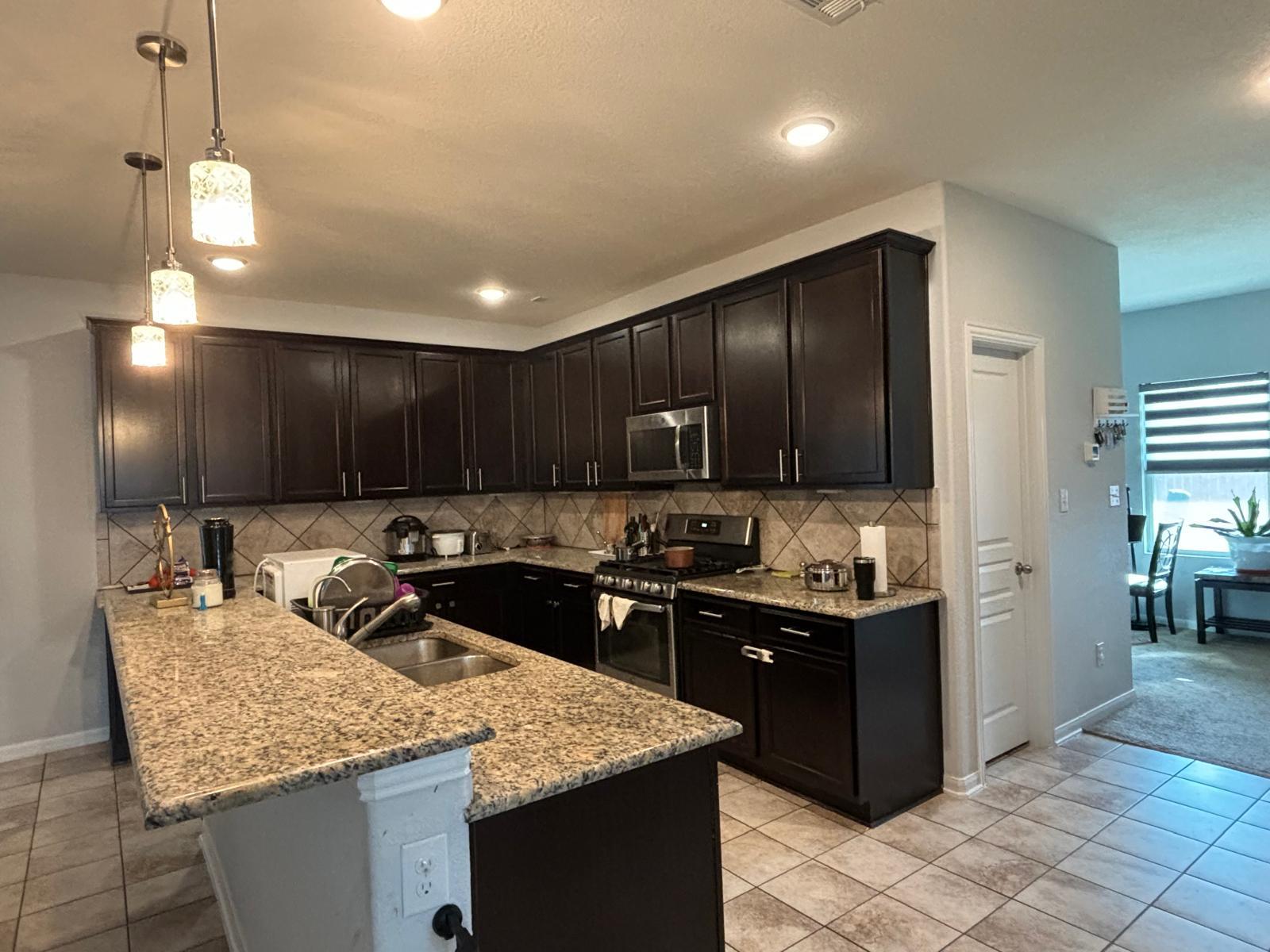 16901 Borromeo Ave, Pflugerville, TX 78660