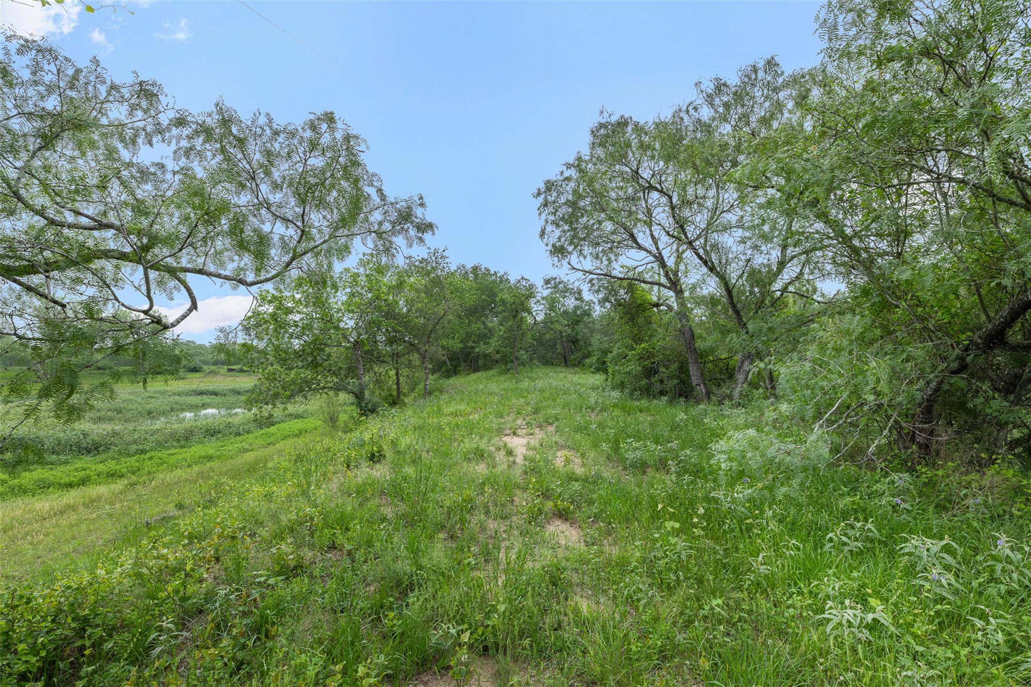 6497 Taylorsville Rd, Dale, TX 78616