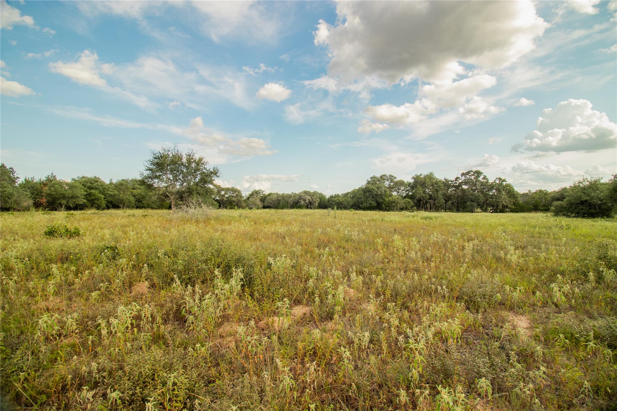 001 County Road 15, Hallettsville, TX 77964