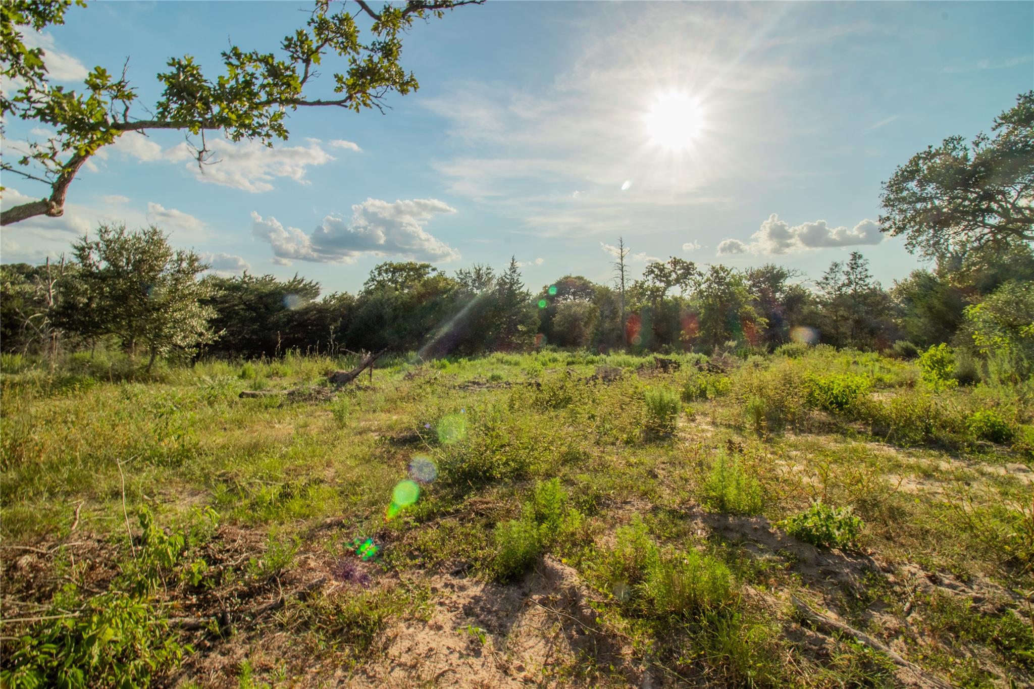 001 County Road 15, Hallettsville, TX 77964