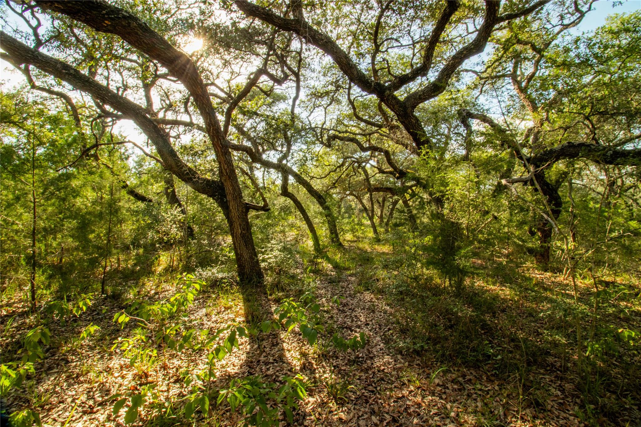 001 County Road 15, Hallettsville, TX 77964