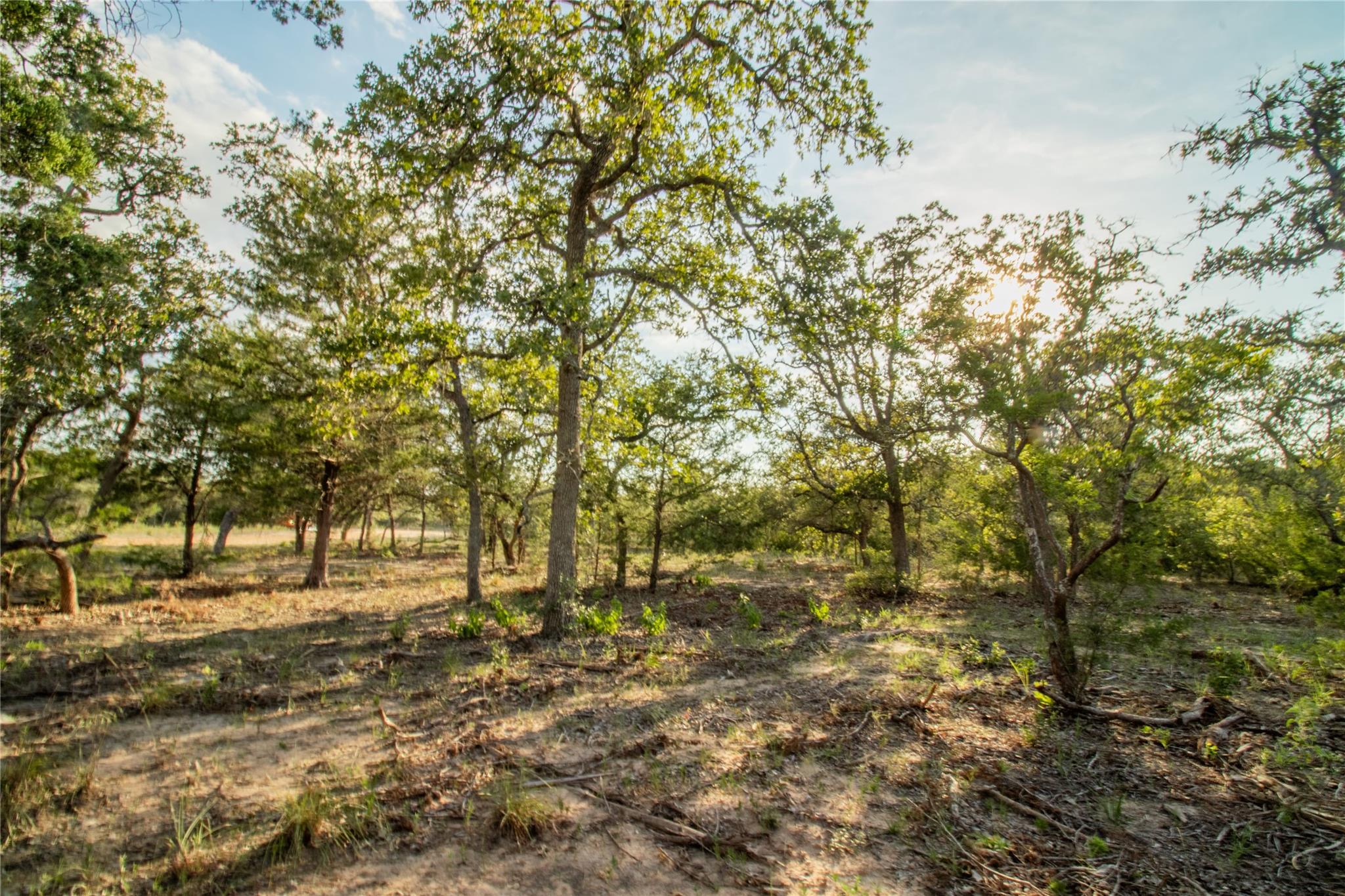 001 County Road 15, Hallettsville, TX 77964
