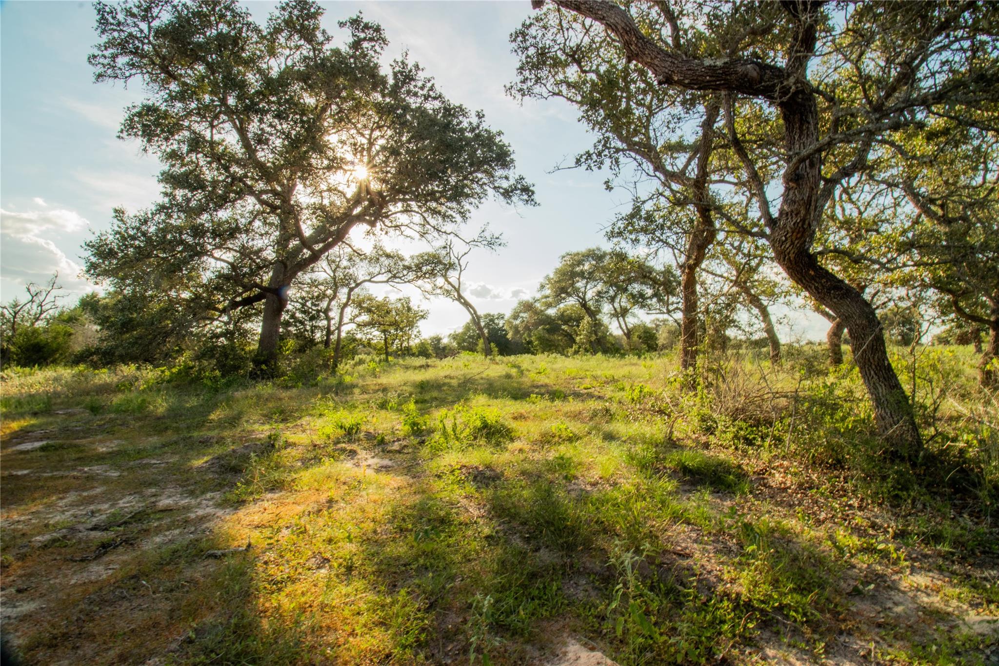 001 County Road 15, Hallettsville, TX 77964