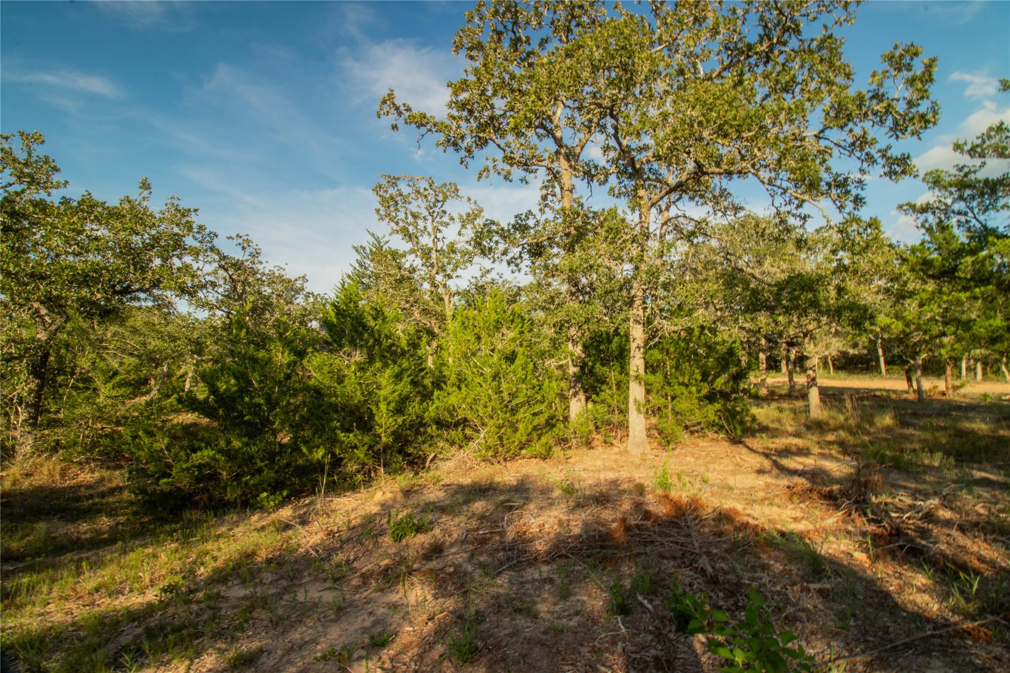 001 County Road 15, Hallettsville, TX 77964