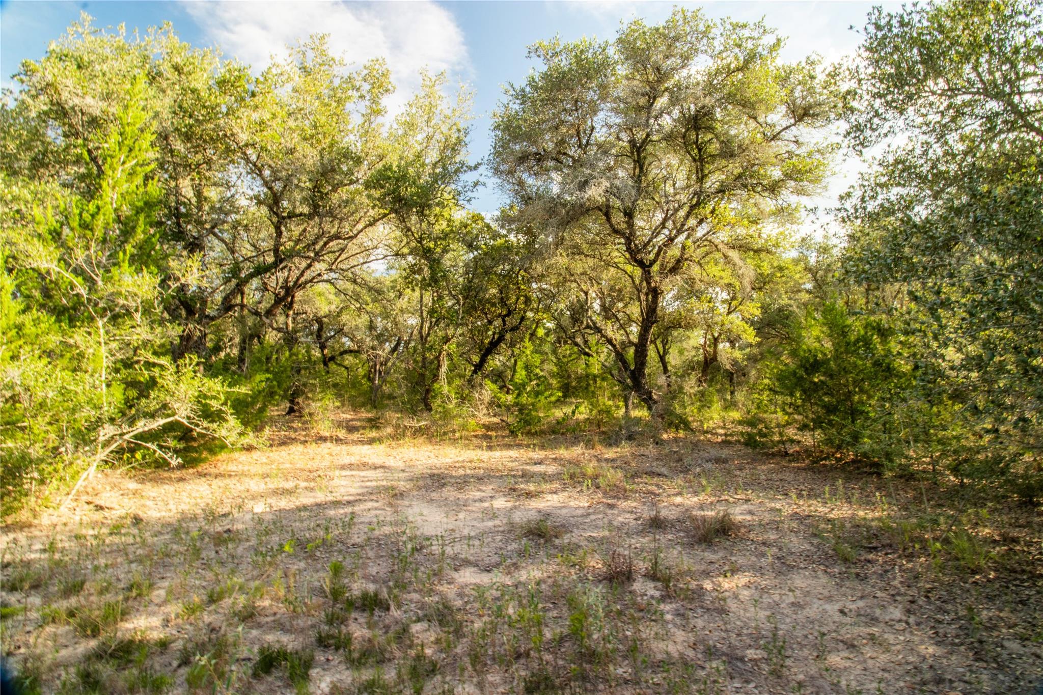 001 County Road 15, Hallettsville, TX 77964