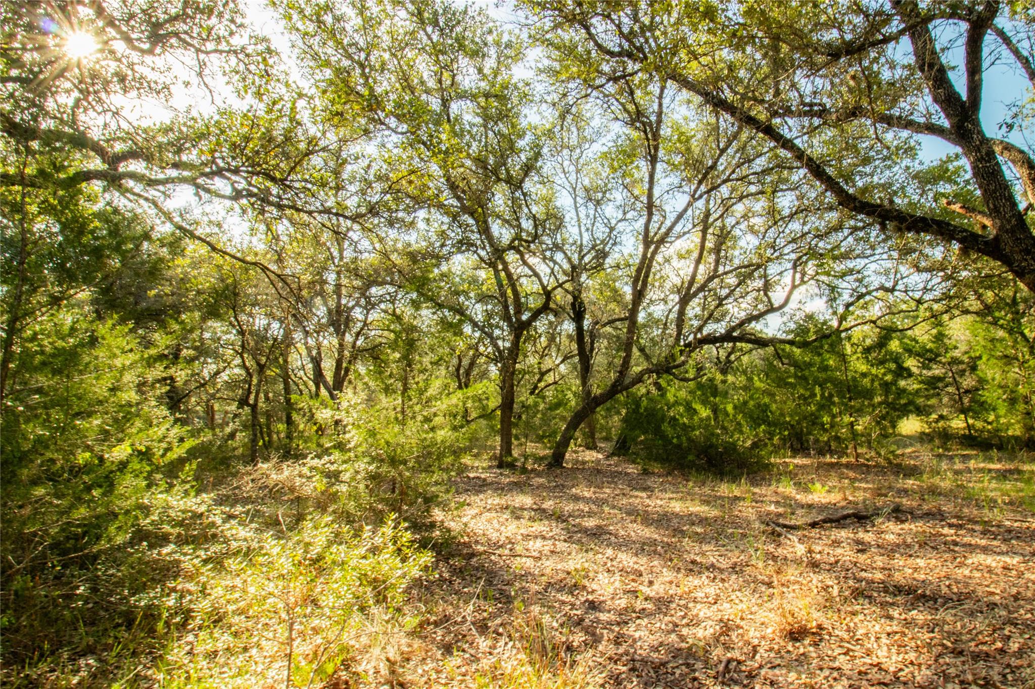 001 County Road 15, Hallettsville, TX 77964