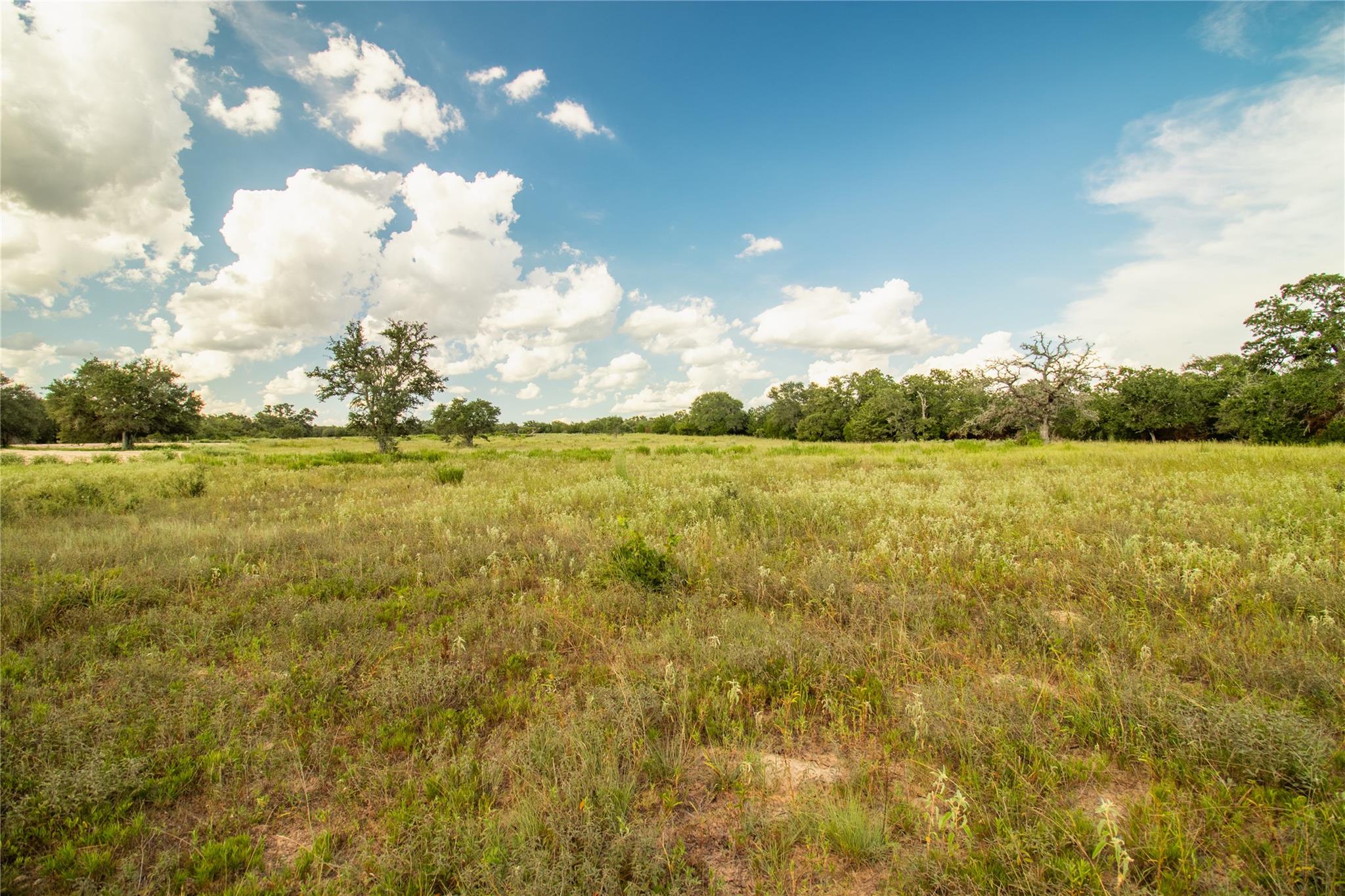 001 County Road 15, Hallettsville, TX 77964