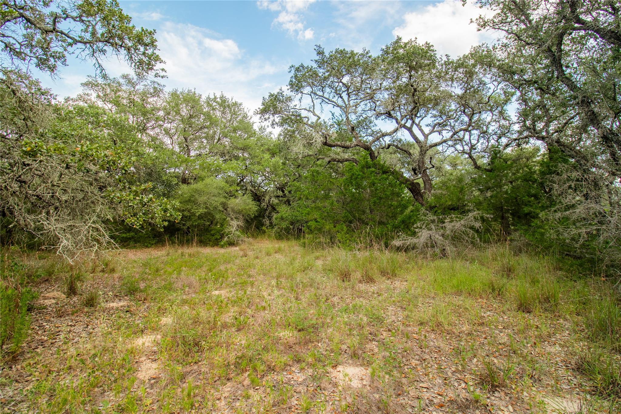 001 County Road 15, Hallettsville, TX 77964
