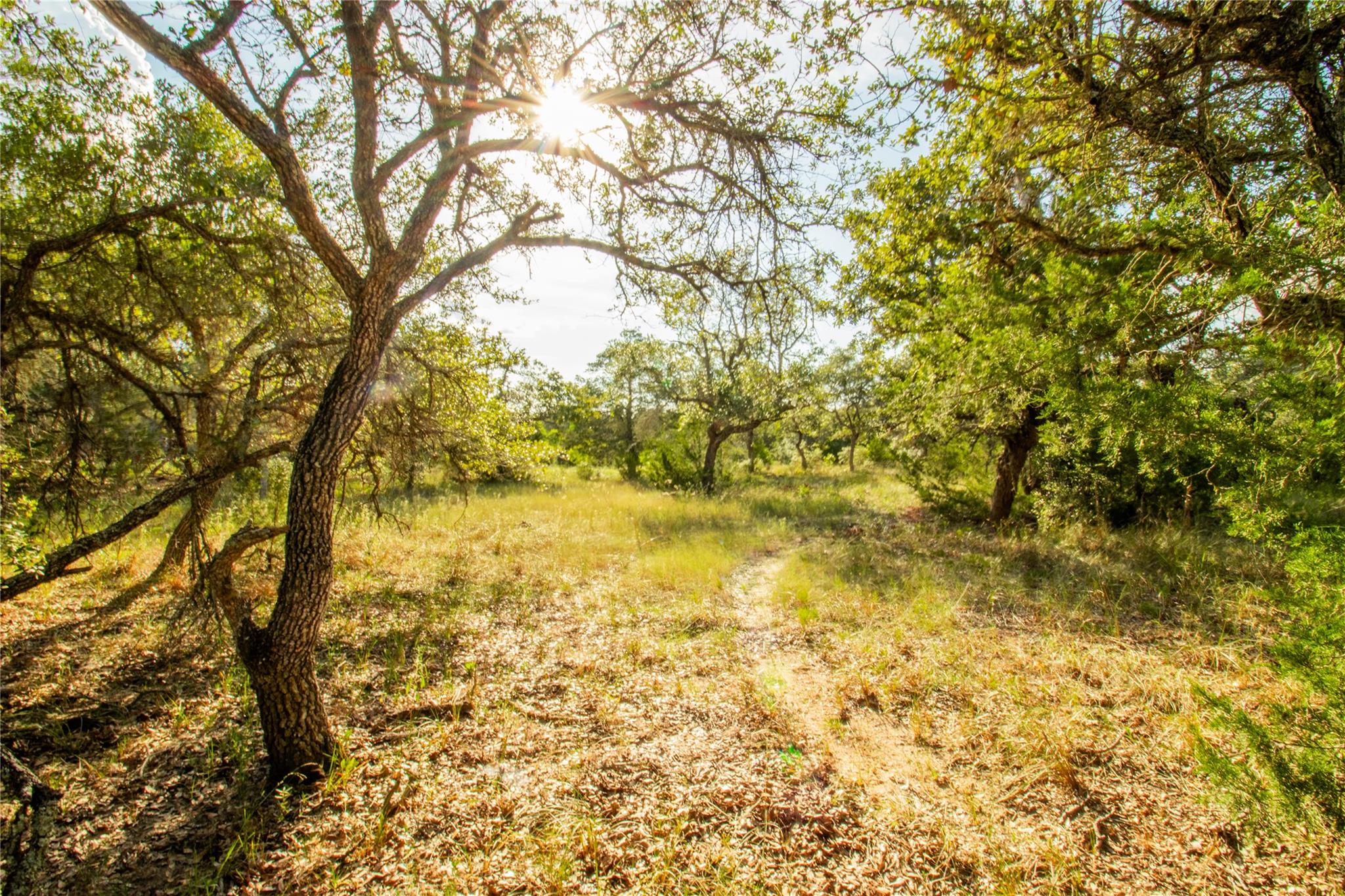 001 County Road 15, Hallettsville, TX 77964