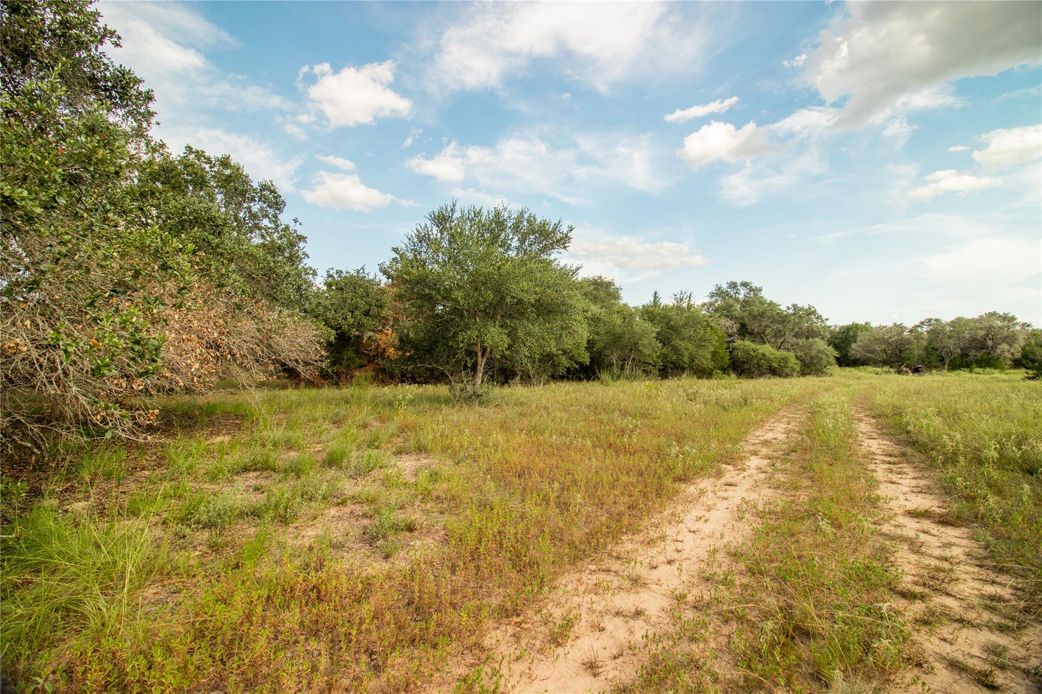001 County Road 15, Hallettsville, TX 77964