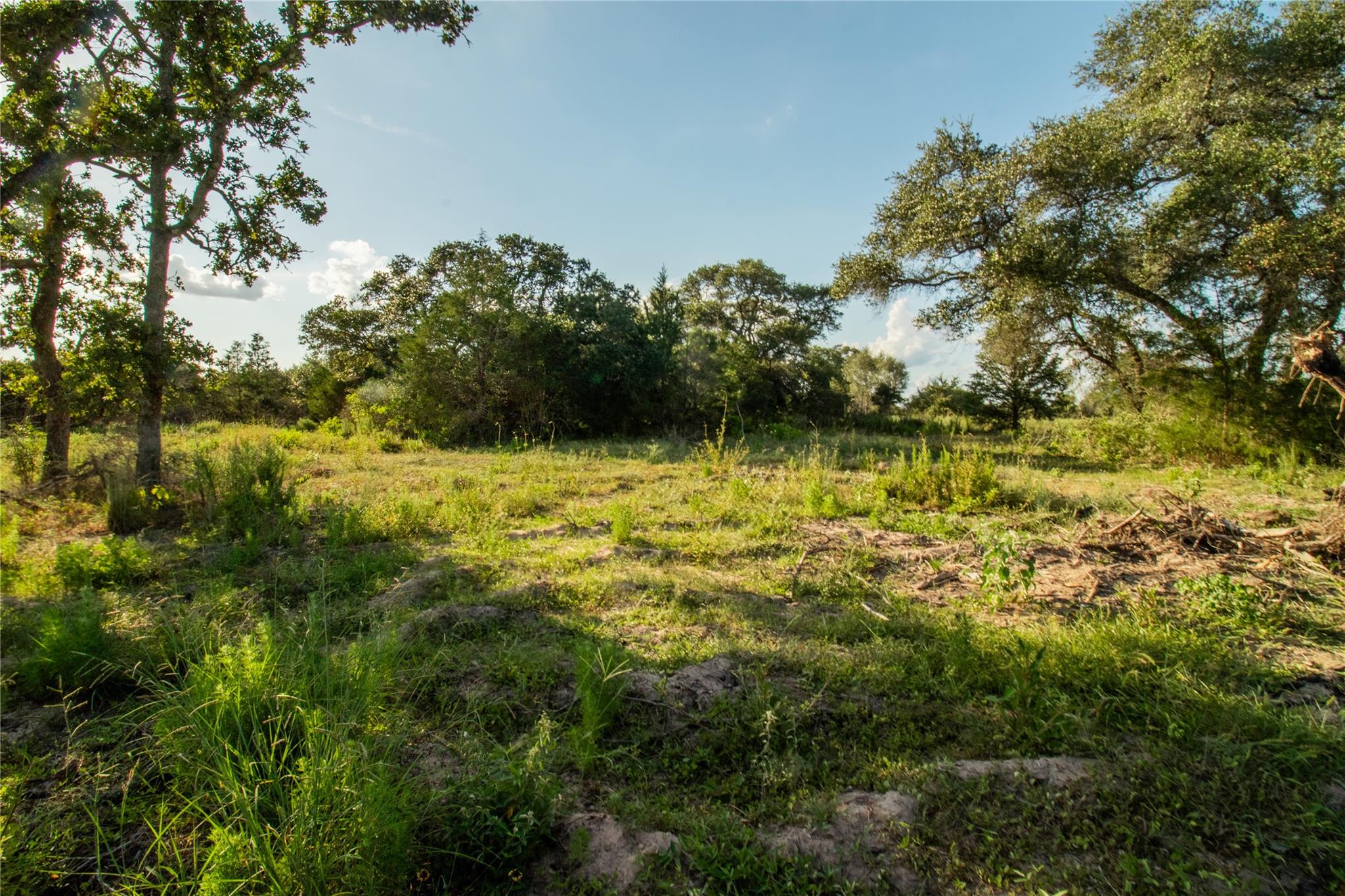 001 County Road 15, Hallettsville, TX 77964