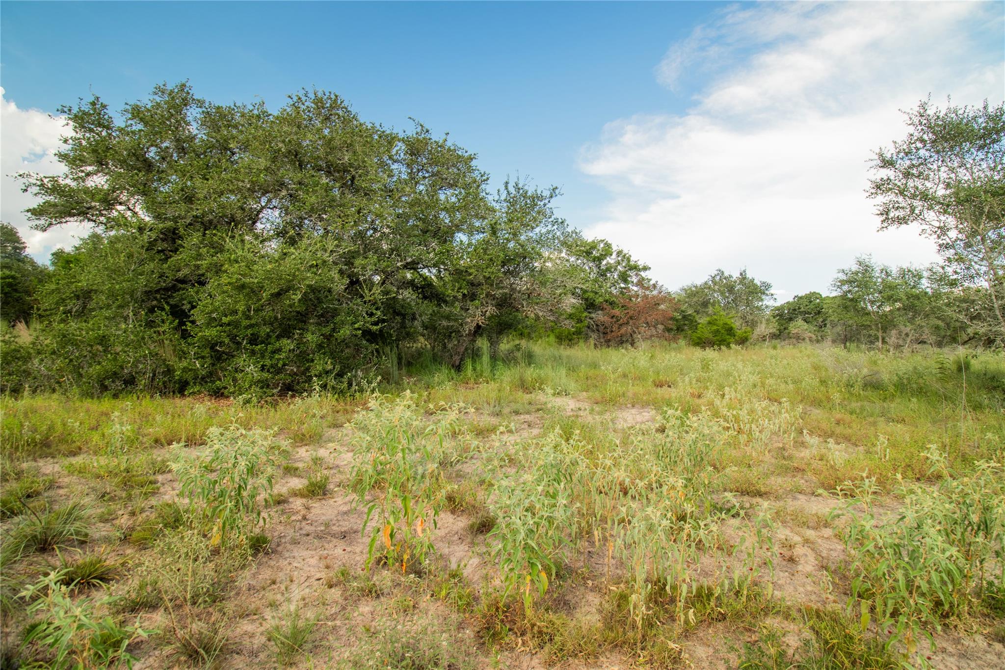 001 County Road 15, Hallettsville, TX 77964