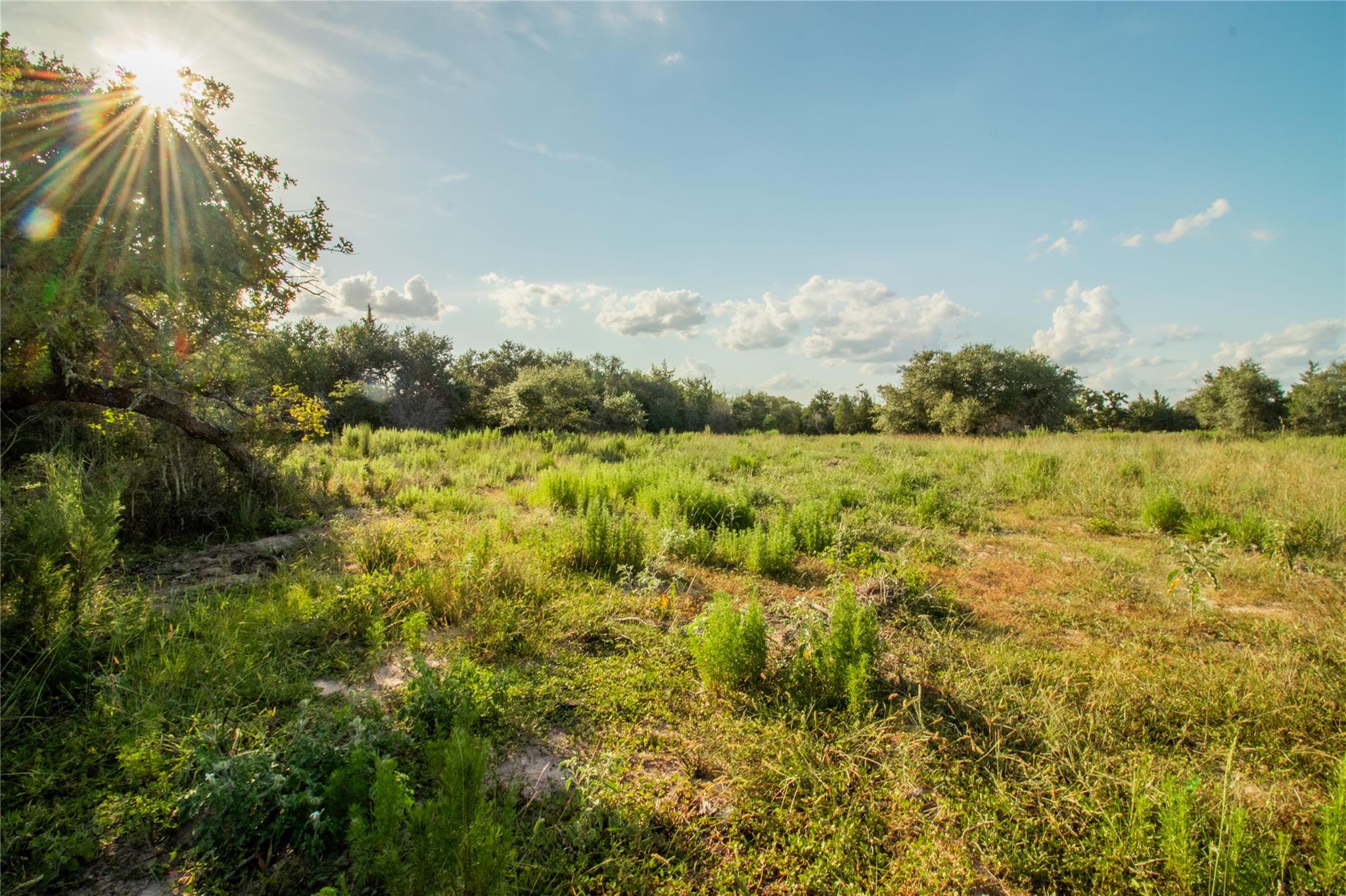 001 County Road 15, Hallettsville, TX 77964