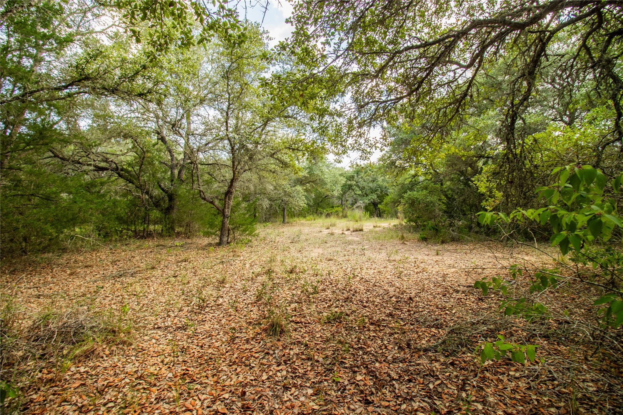 001 County Road 15, Hallettsville, TX 77964