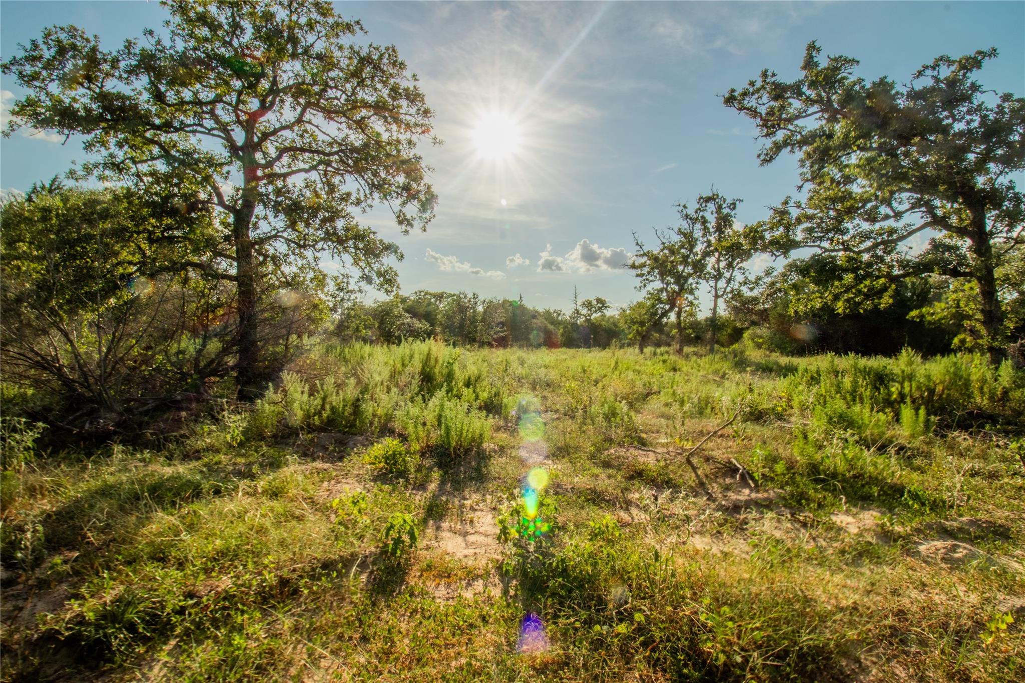 001 County Road 15, Hallettsville, TX 77964