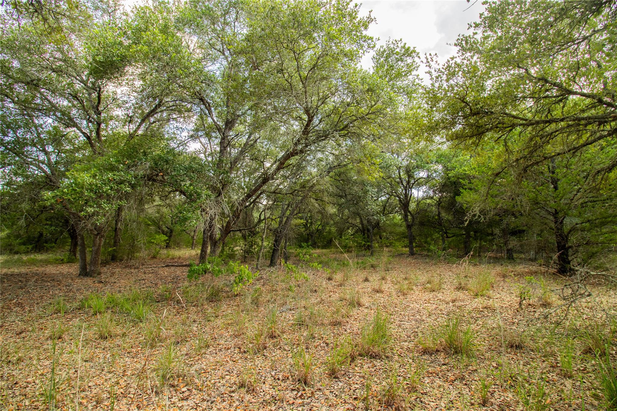 001 County Road 15, Hallettsville, TX 77964