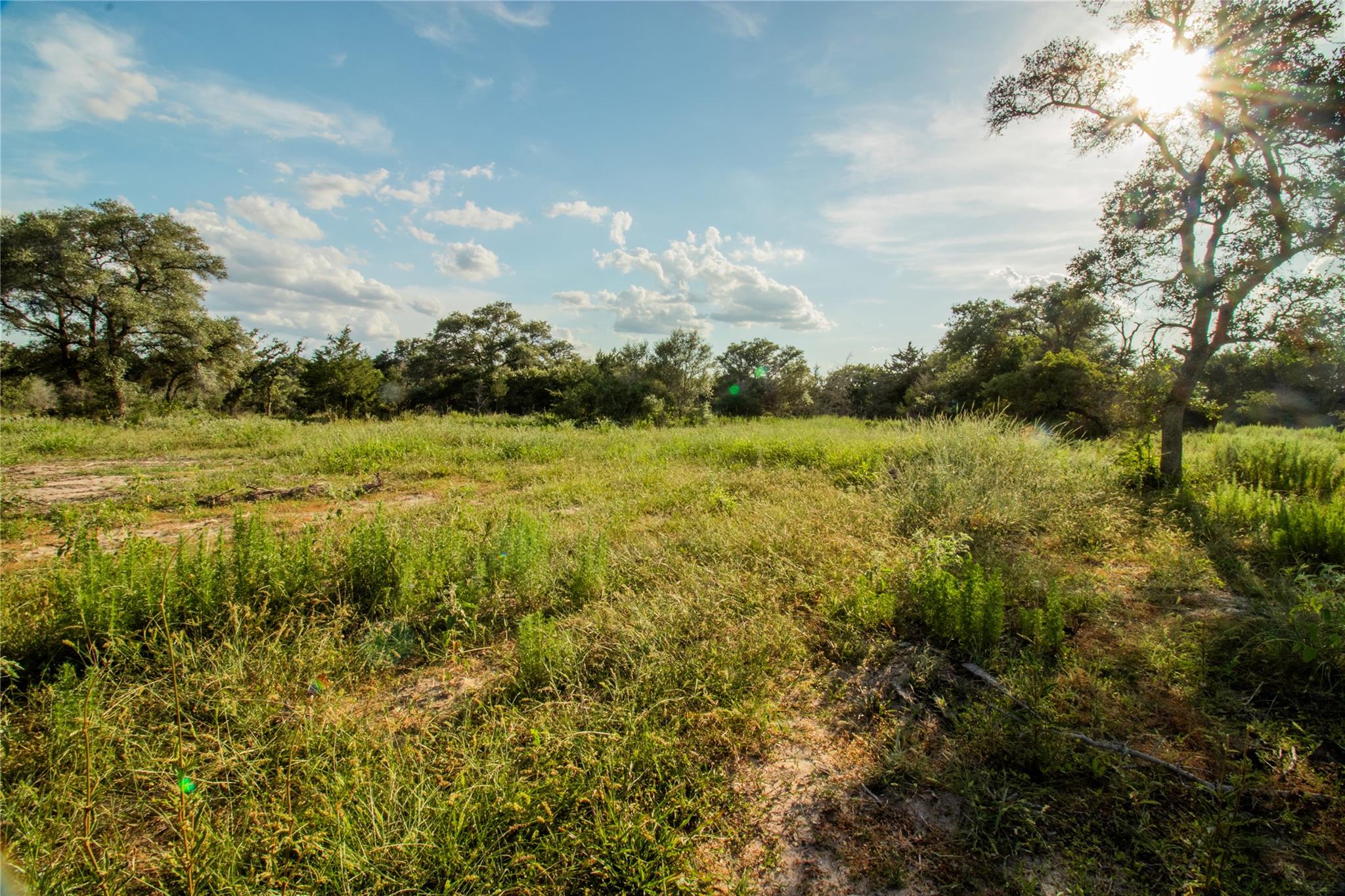 001 County Road 15, Hallettsville, TX 77964