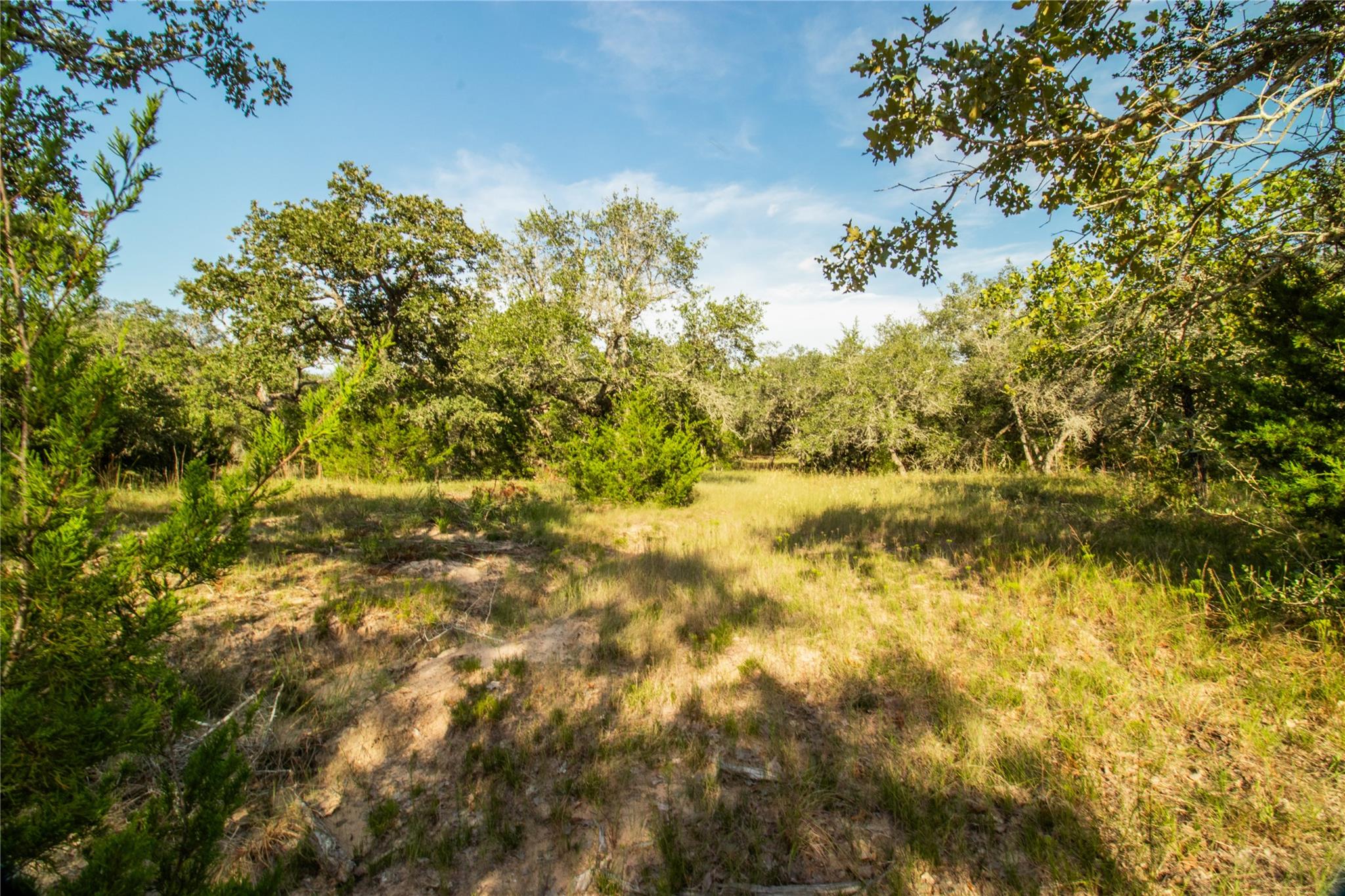 001 County Road 15, Hallettsville, TX 77964