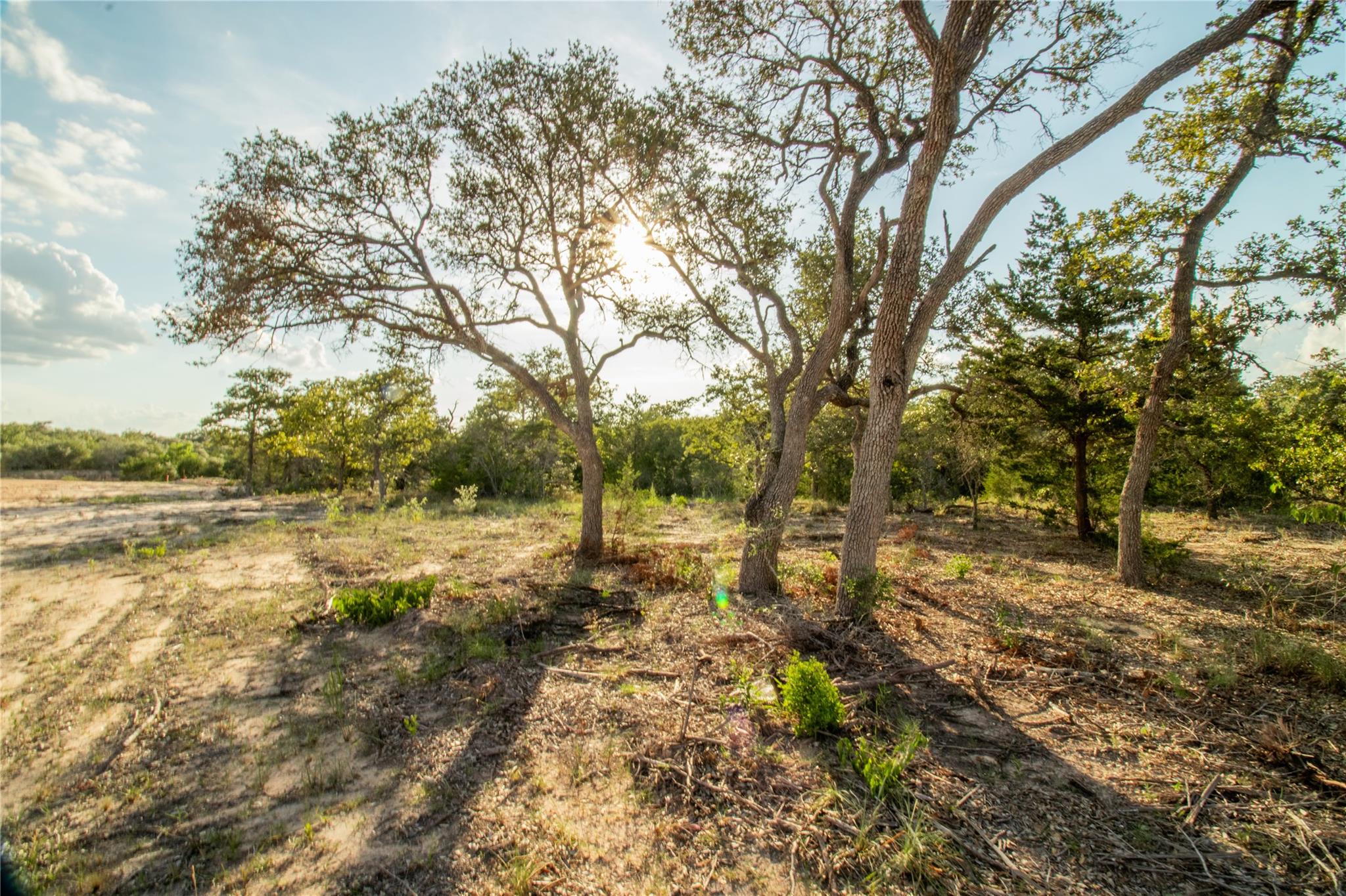 001 County Road 15, Hallettsville, TX 77964