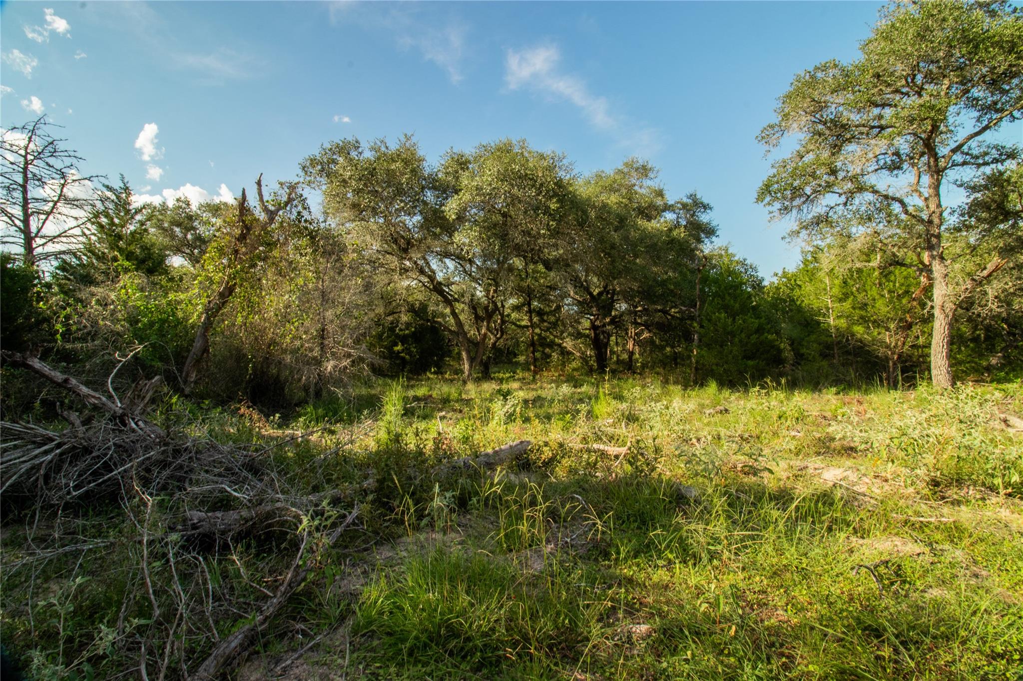 001 County Road 15, Hallettsville, TX 77964