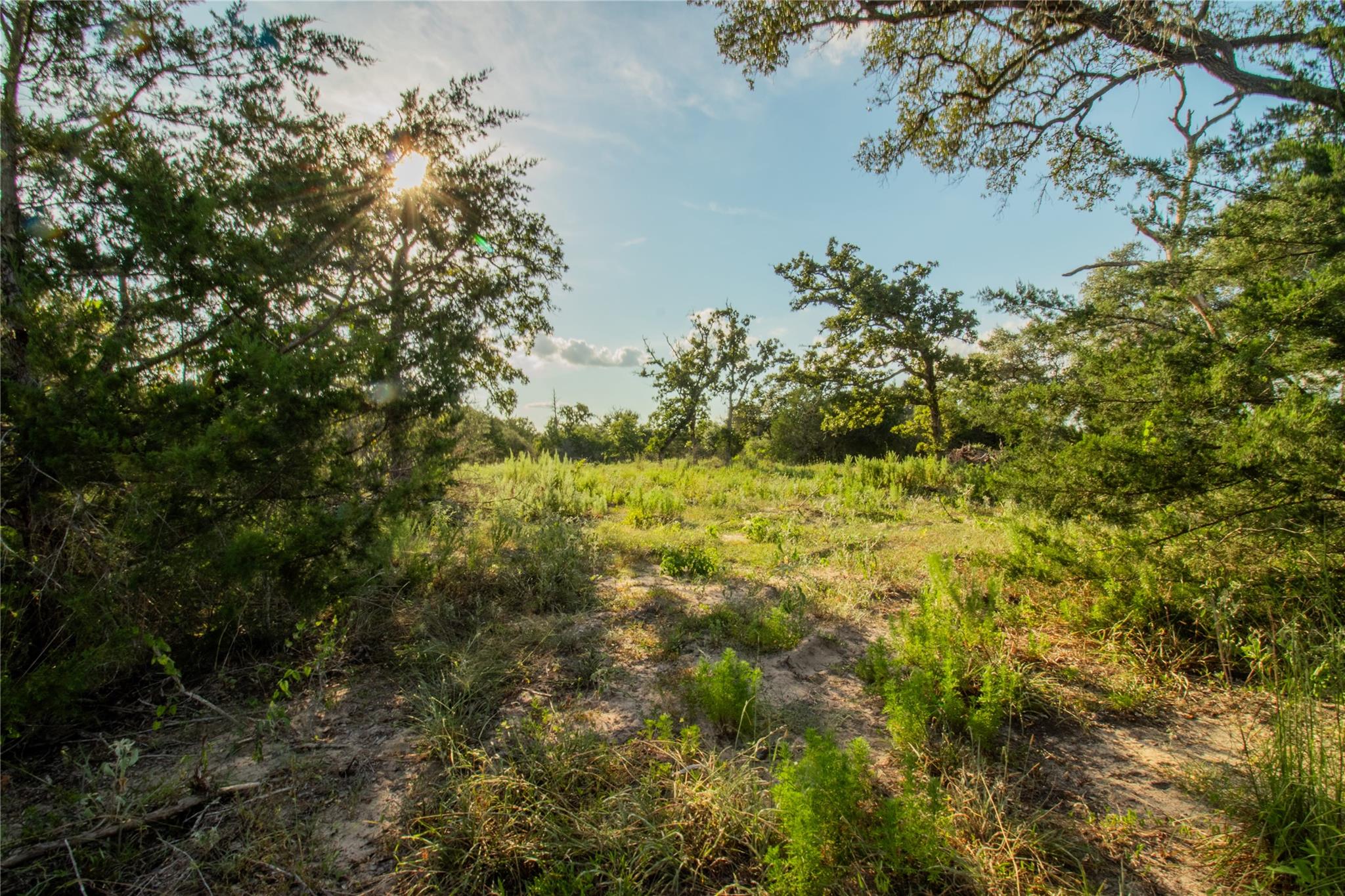 001 County Road 15, Hallettsville, TX 77964