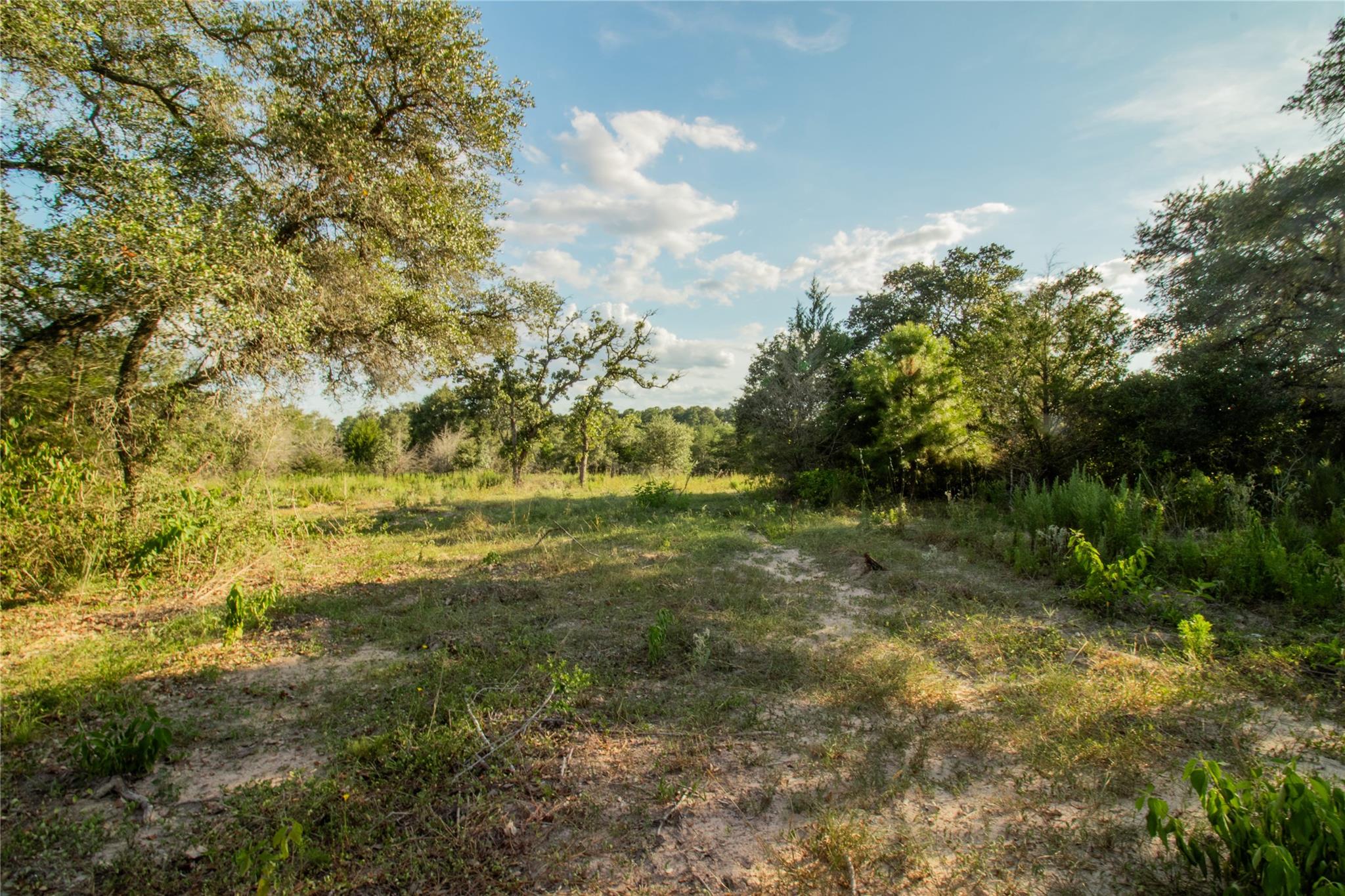 001 County Road 15, Hallettsville, TX 77964