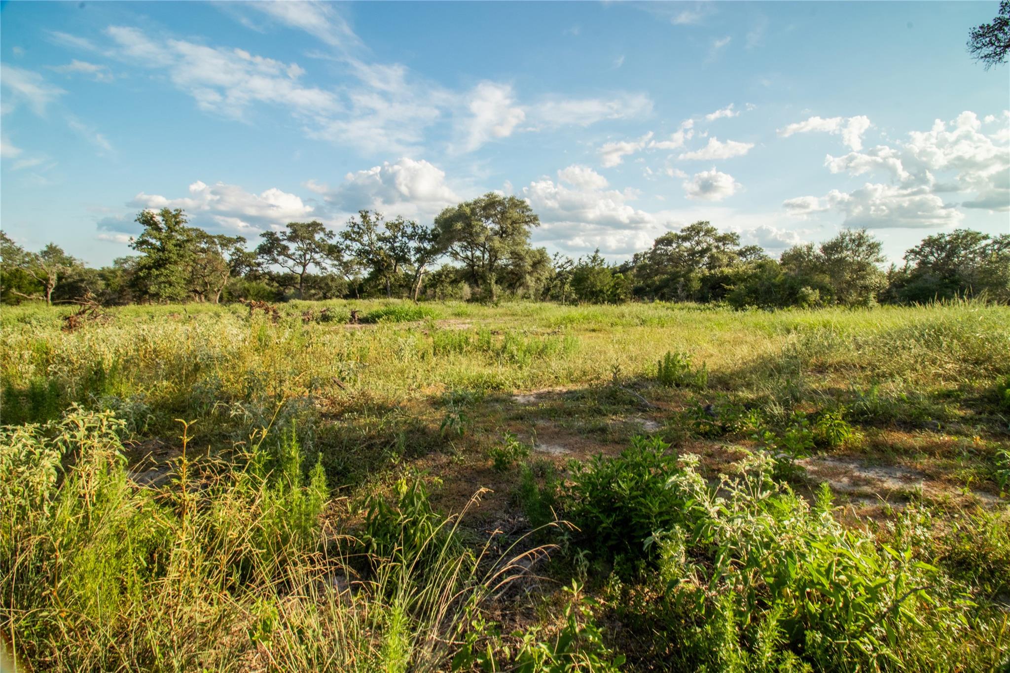 001 County Road 15, Hallettsville, TX 77964