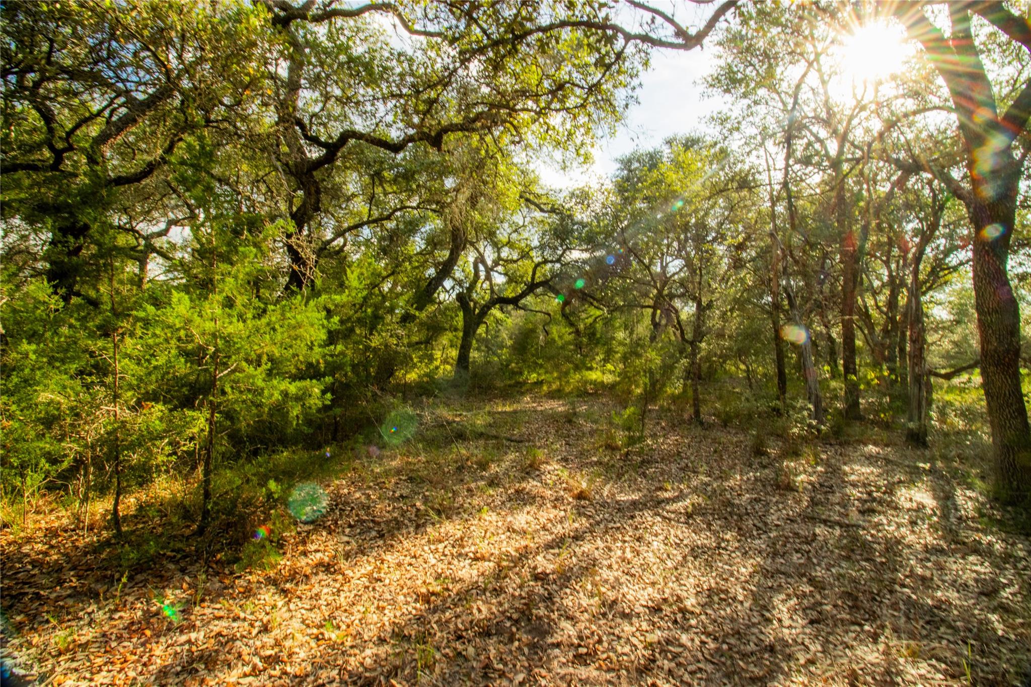 001 County Road 15, Hallettsville, TX 77964