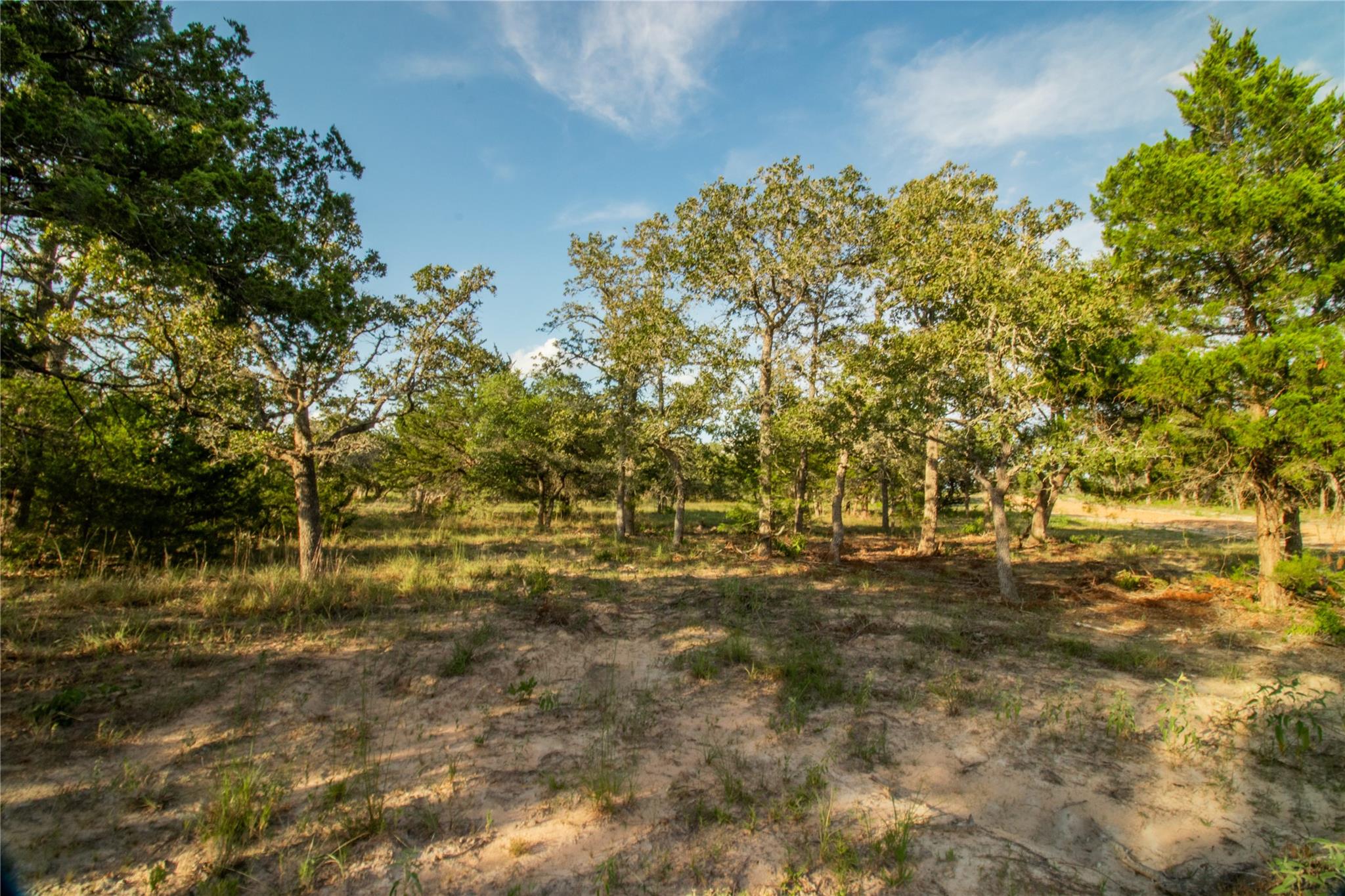 001 County Road 15, Hallettsville, TX 77964