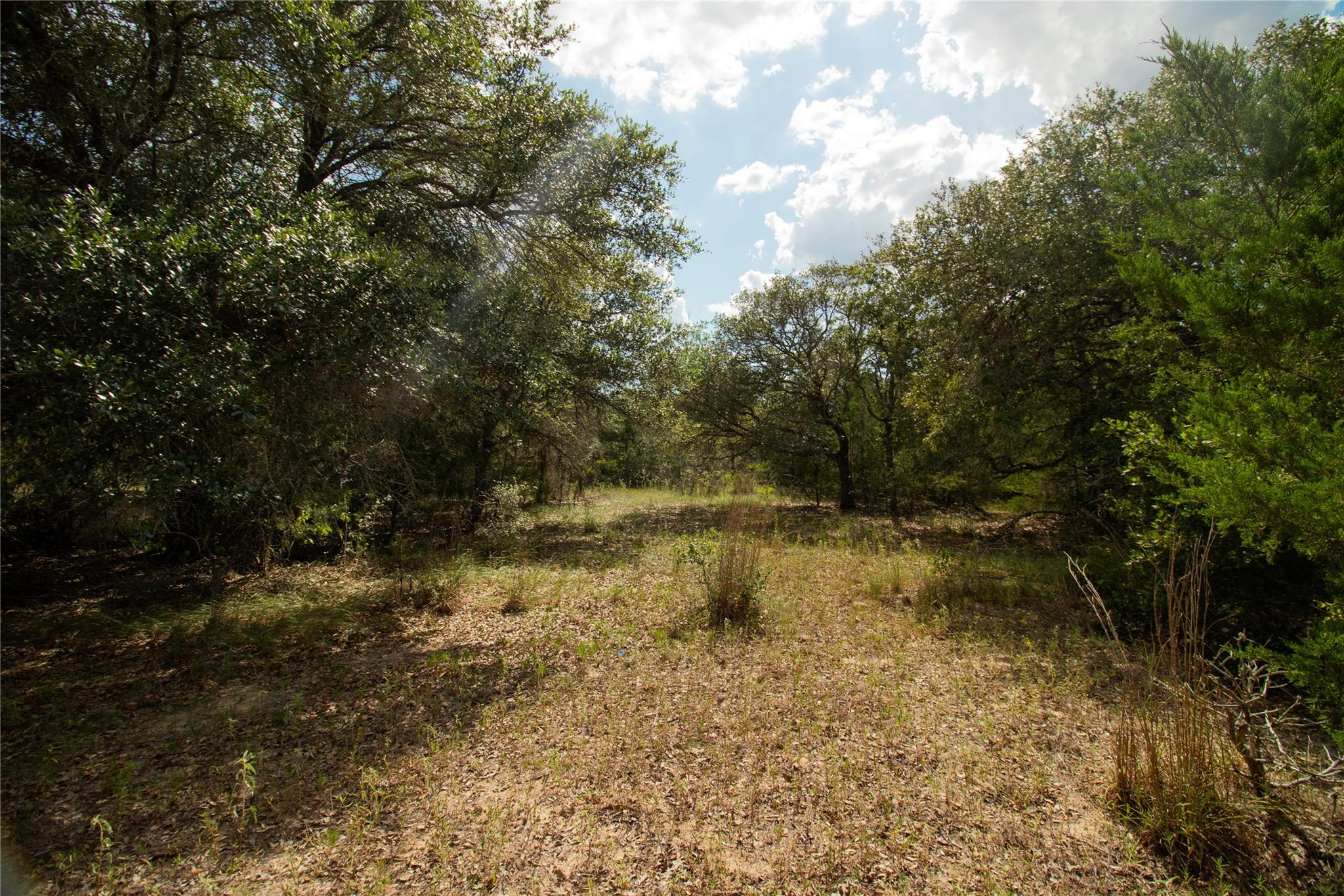 002 County Road 15, Hallettsville, TX 77964