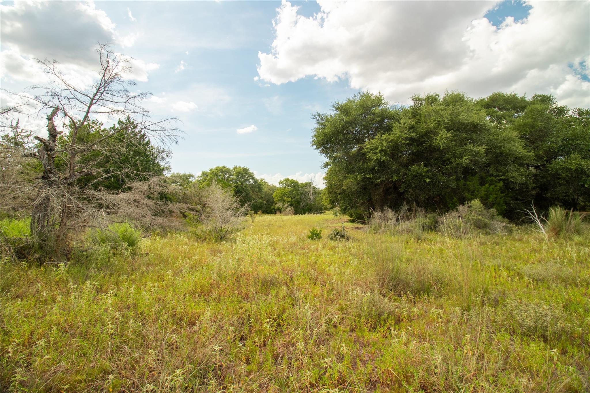 002 County Road 15, Hallettsville, TX 77964