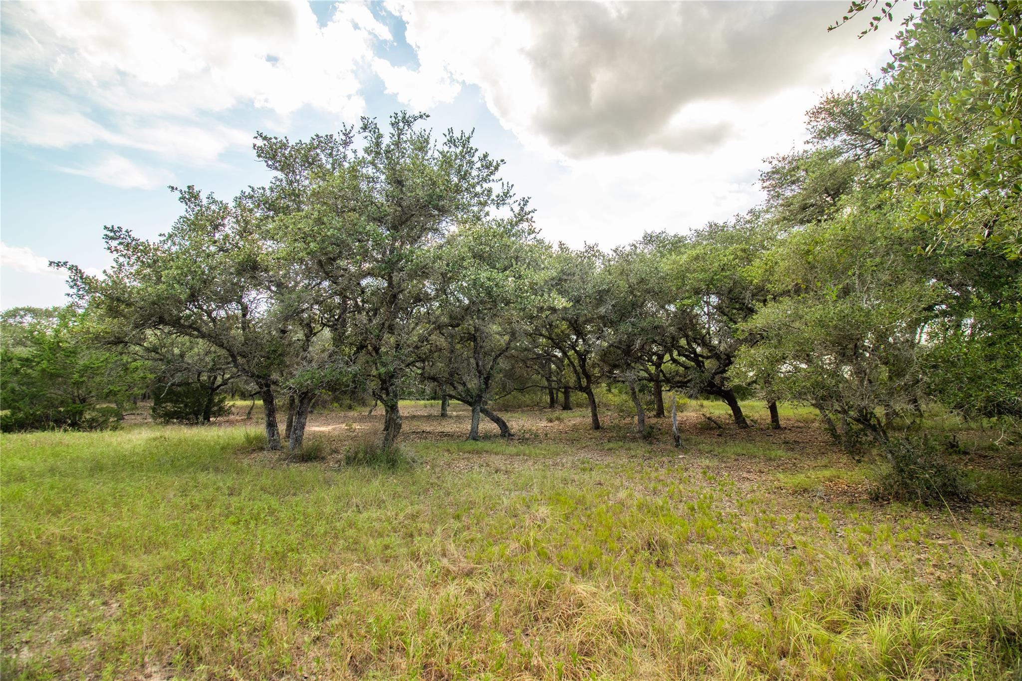 002 County Road 15, Hallettsville, TX 77964